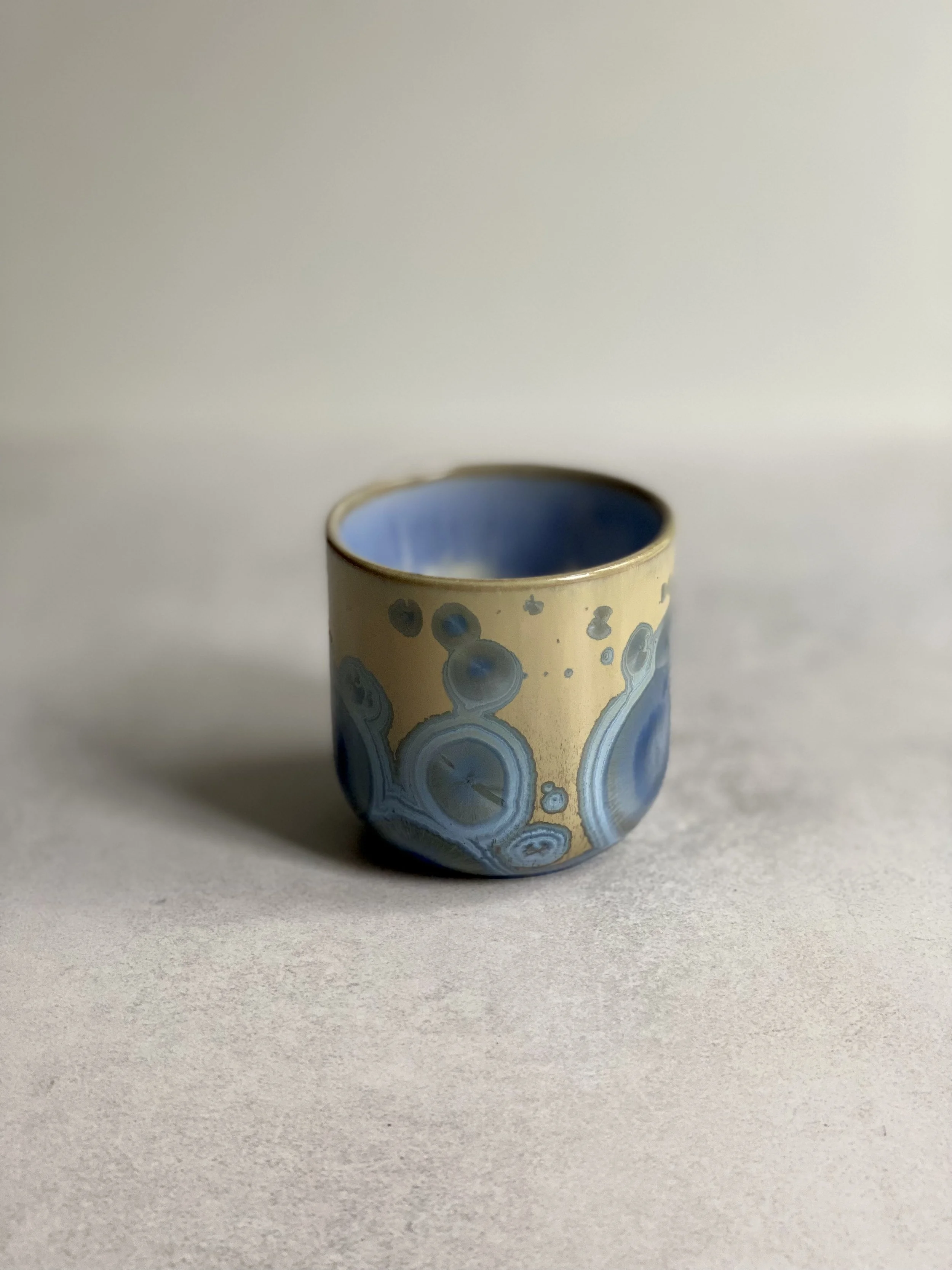IMG_8548.jpeg