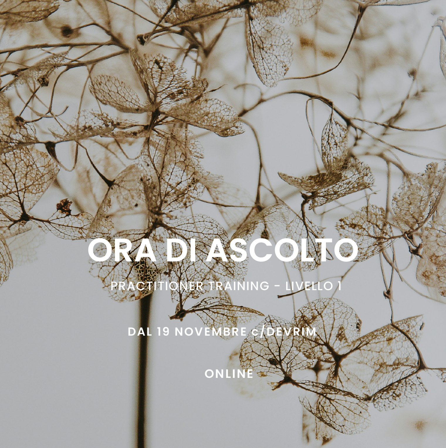 Ora di Ascolto - Practitioner Training