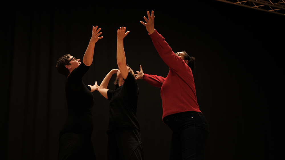 Audizione Playback Theatre 2026 Torino compagnia teatrale