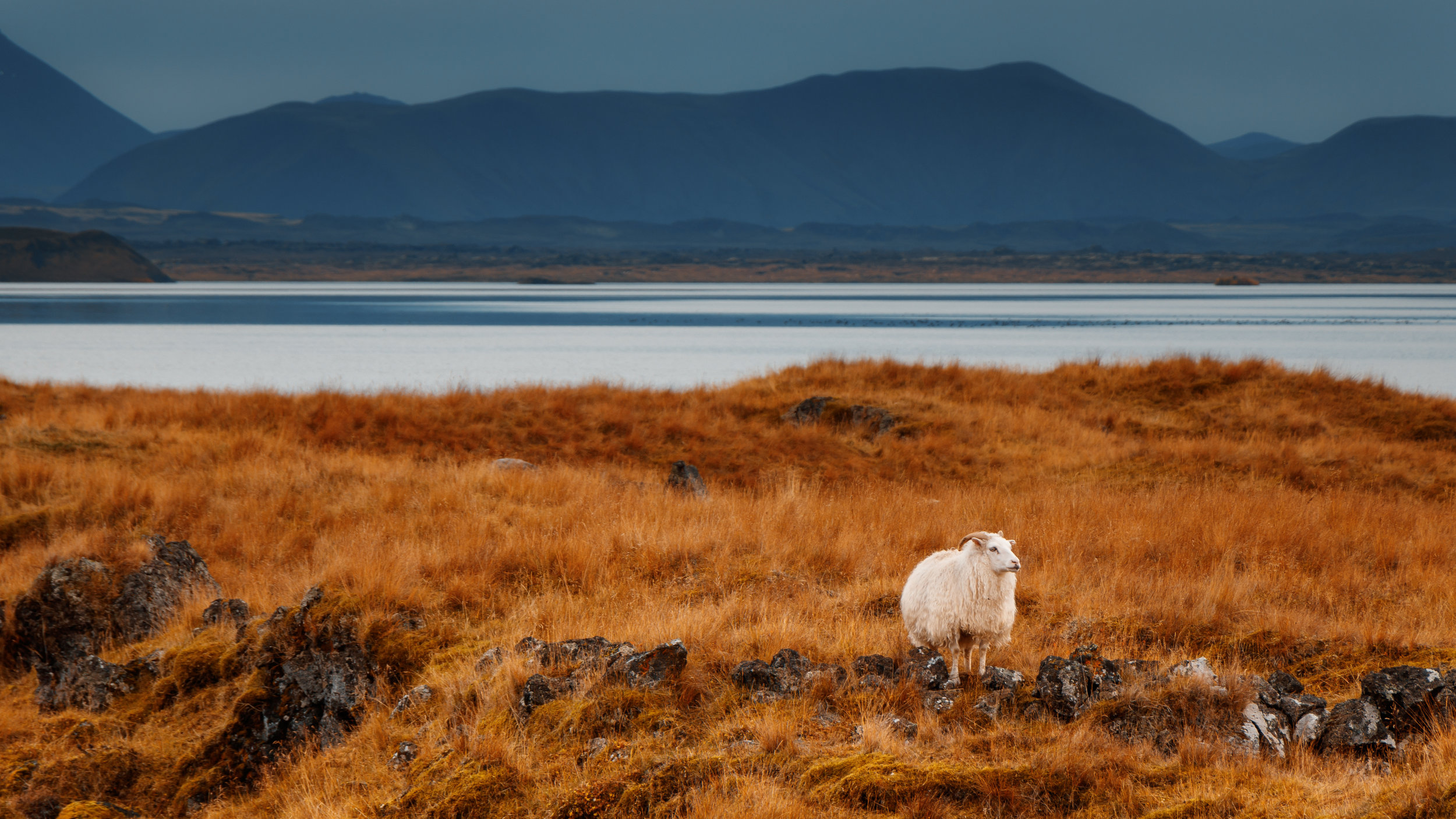 Full Moon in Aries — Achieving a partnership where you come first!