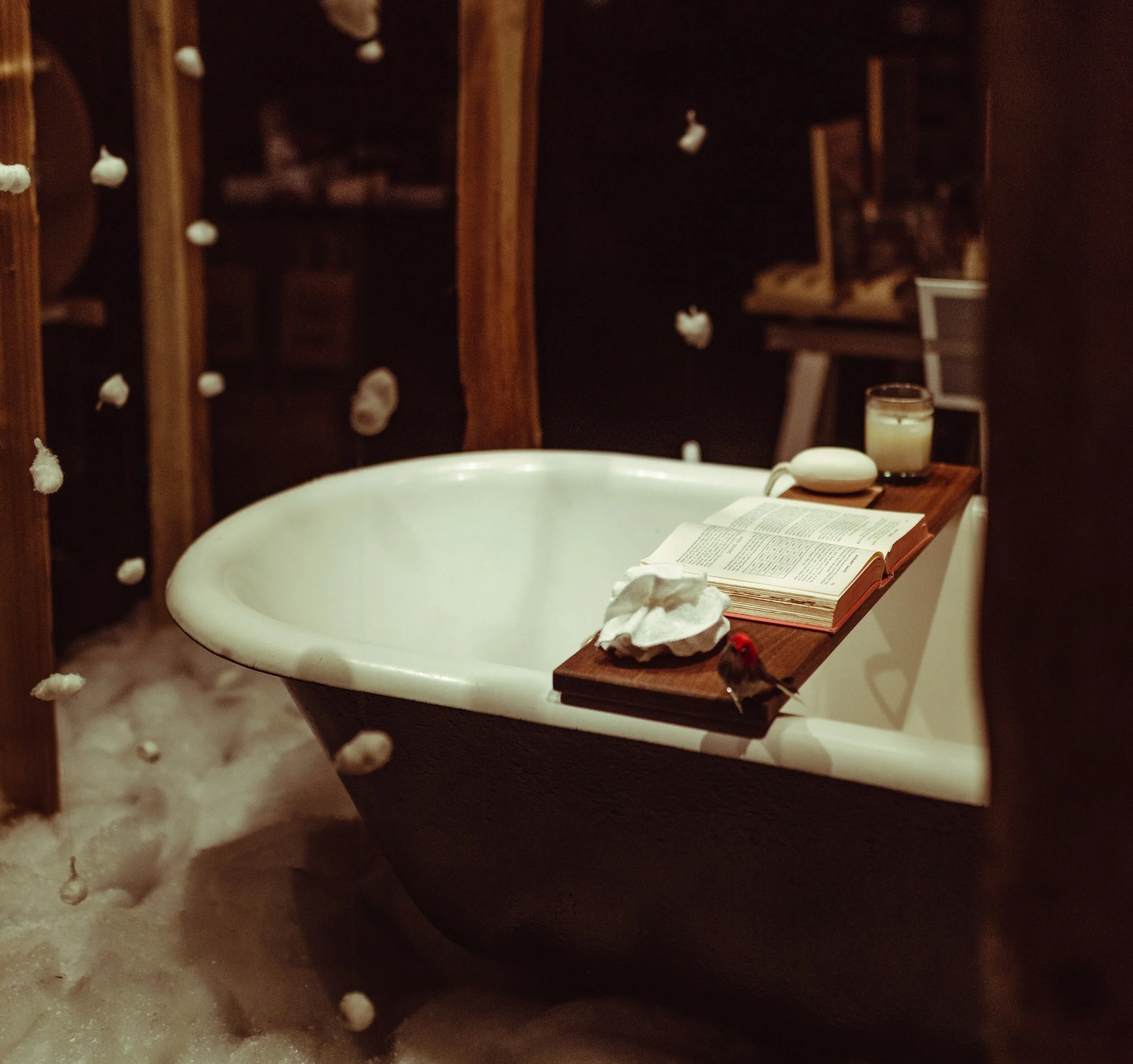 Moon Wellness Bath Time