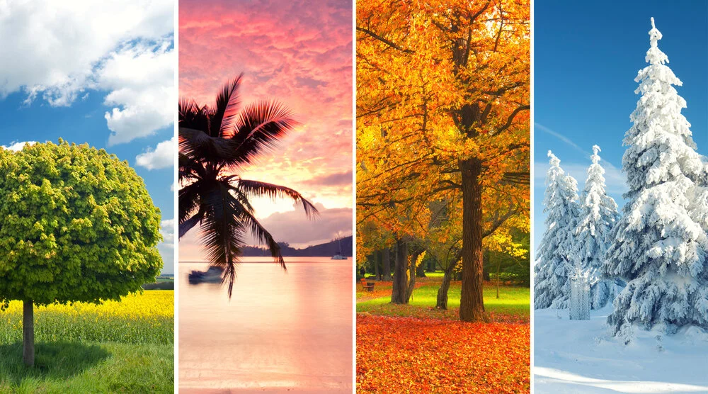What are the Four Seasons Charts of Astrology? - Part 1