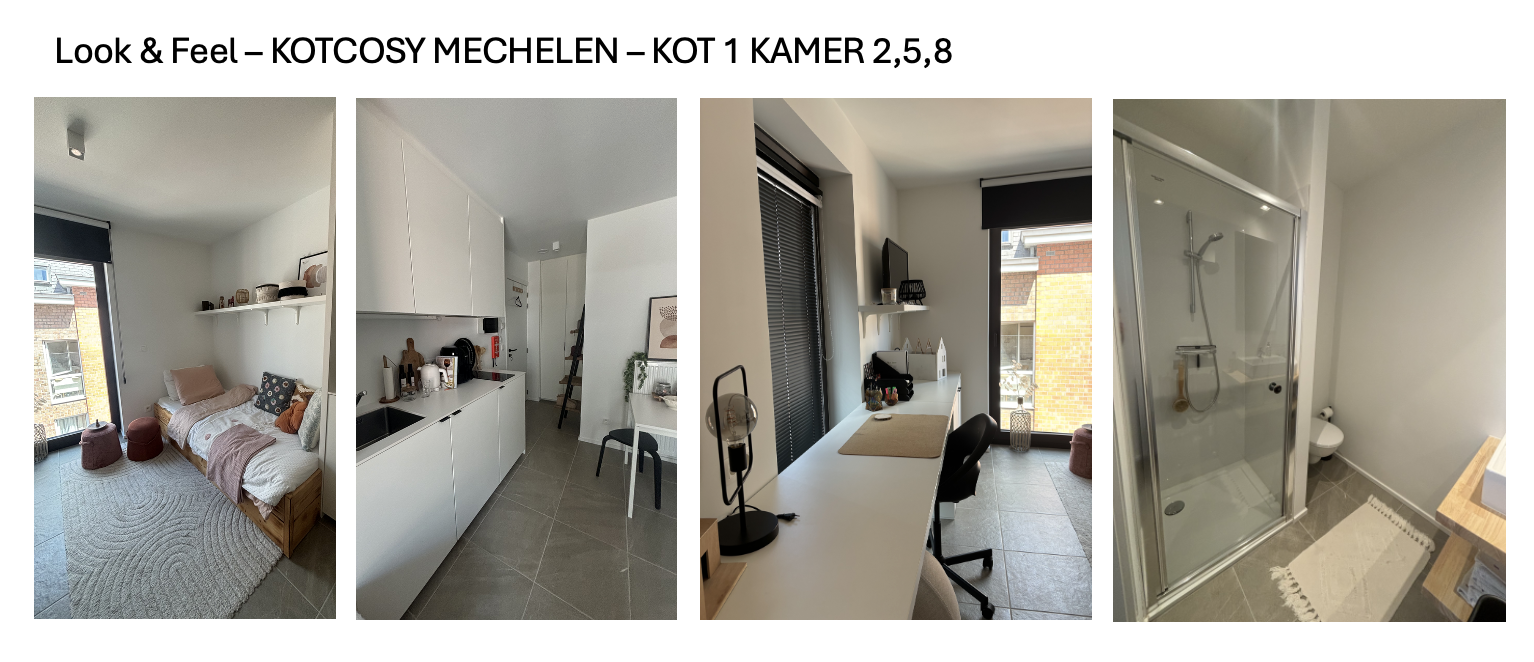 Scherm­afbeelding 2026-08-01 om 14.18.24.png