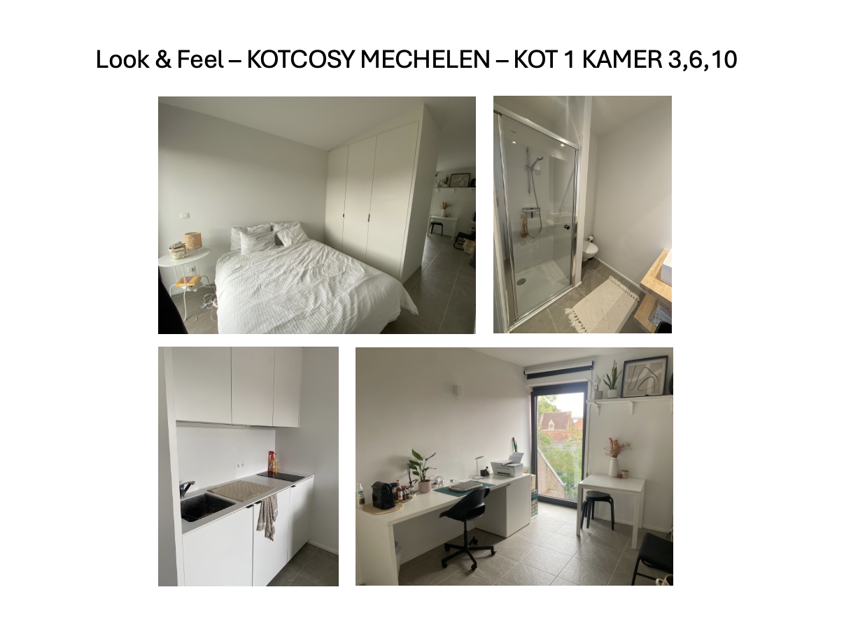 Scherm­afbeelding 2026-08-01 om 14.25.06.png