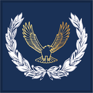 Gold Shot Rafac Syllabus — 1324 (Hawker Blackburn) Squadron | Air Training Corps (ATC ...