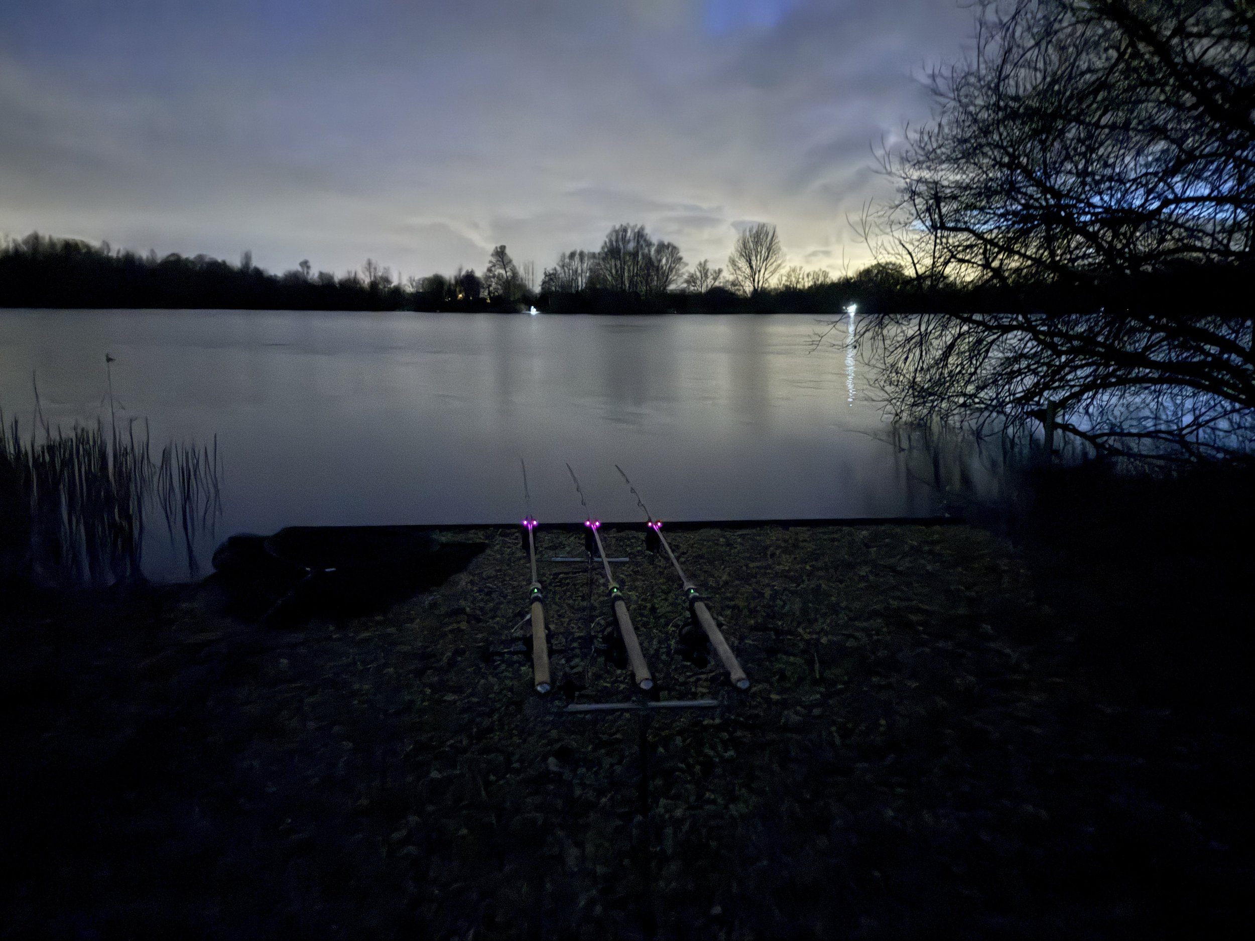 The Sessions - January 2026