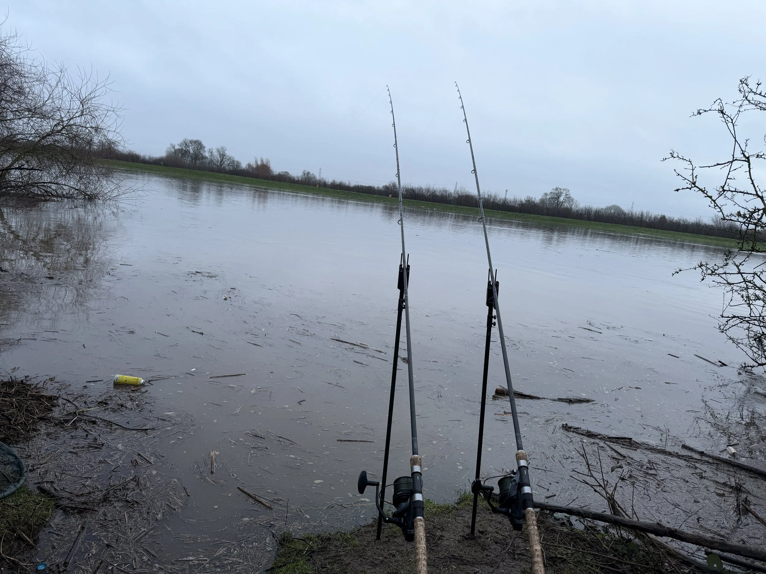 The Sessions - Feb 2026