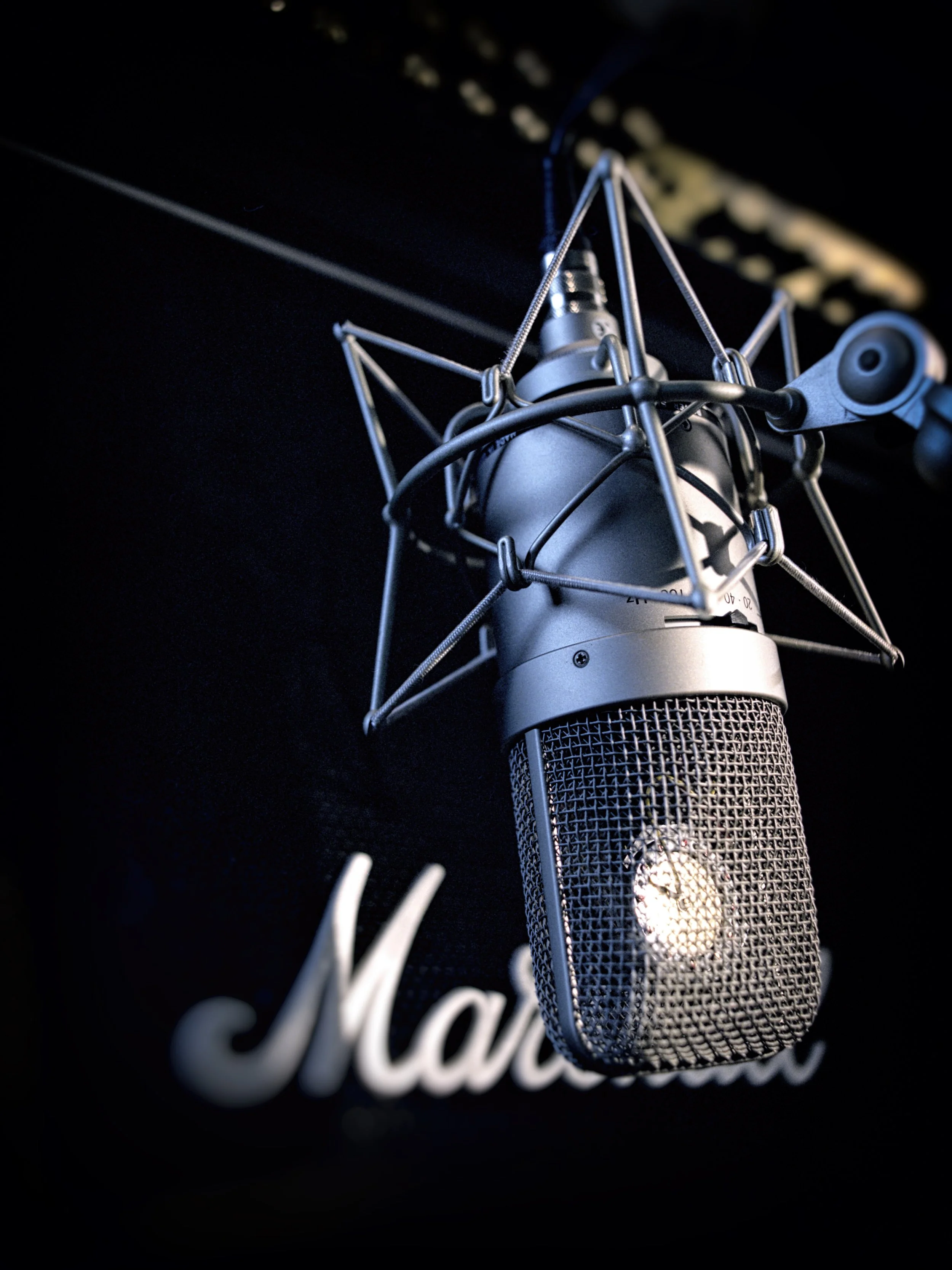 Mic and Marshall.jpg