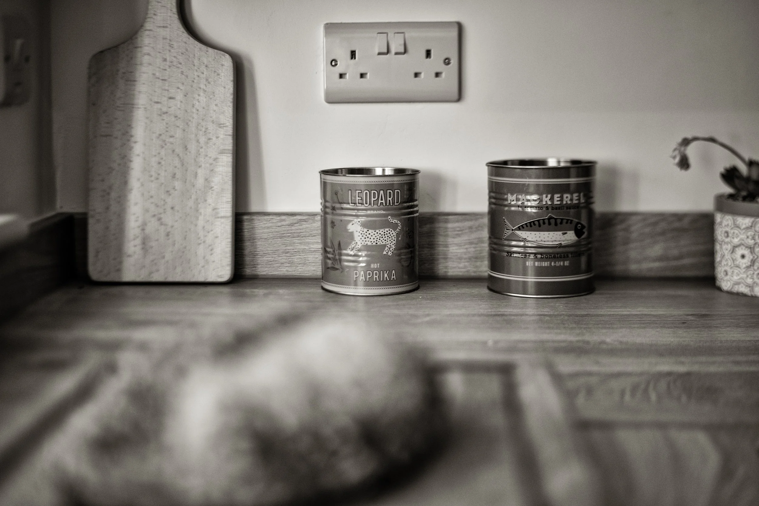 Kitchen_9 BW TONED.jpg