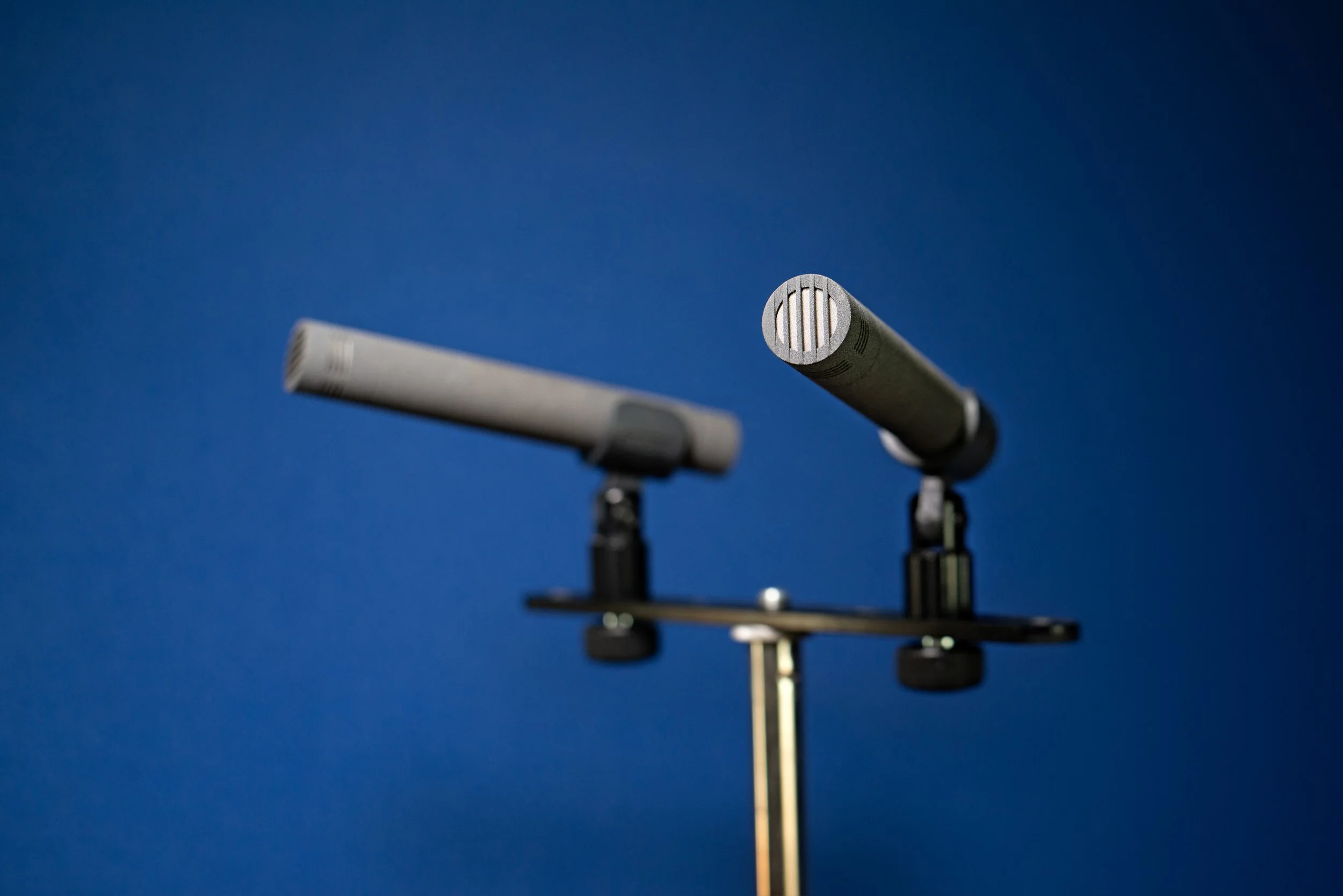Mics_1.jpg