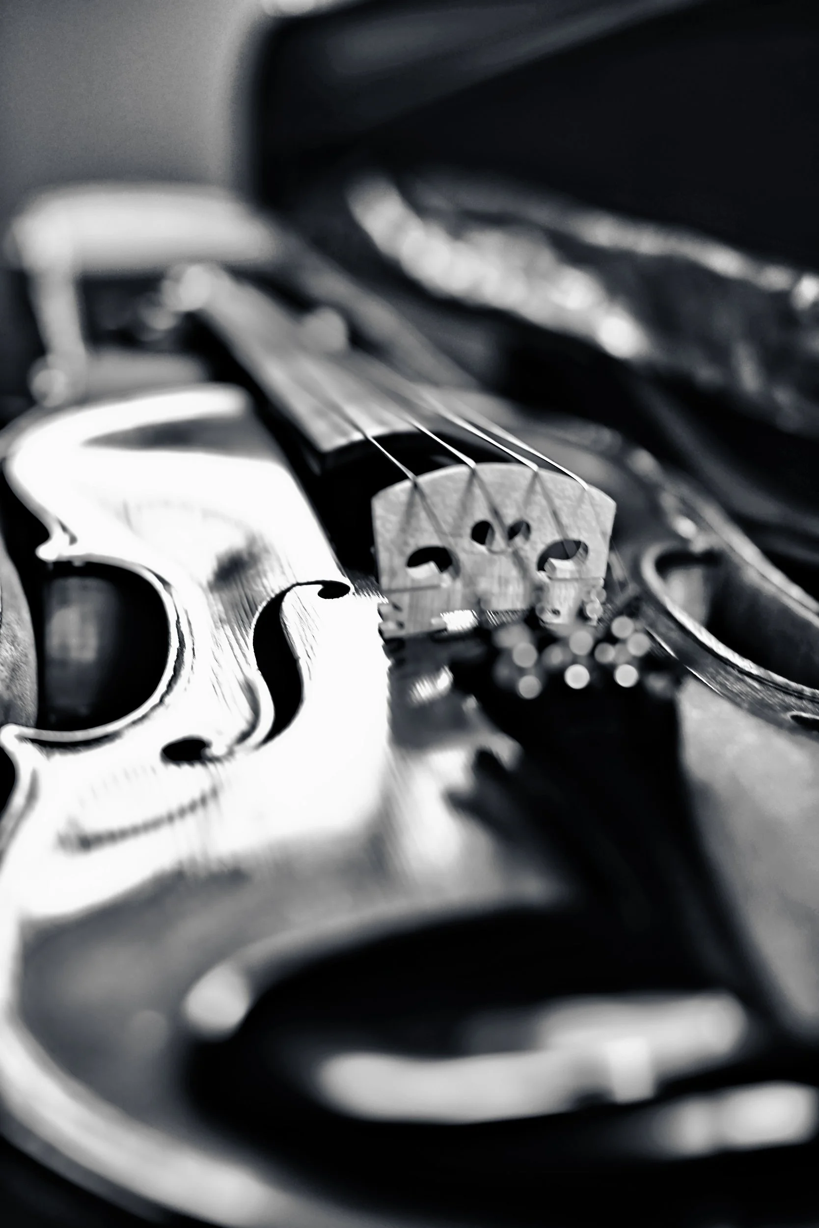 Violin BW TONED.jpg