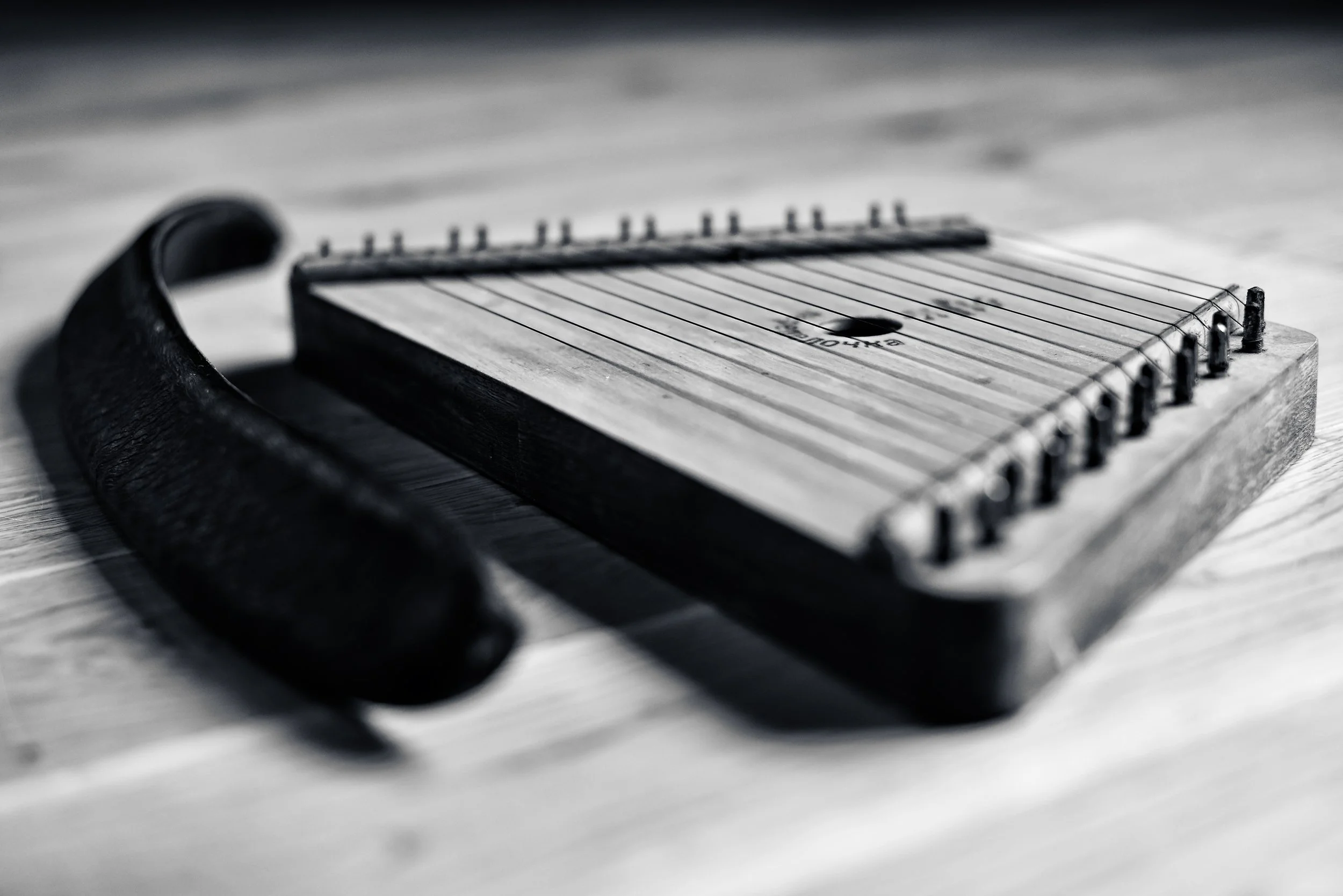 ZIther BW TONED.jpg