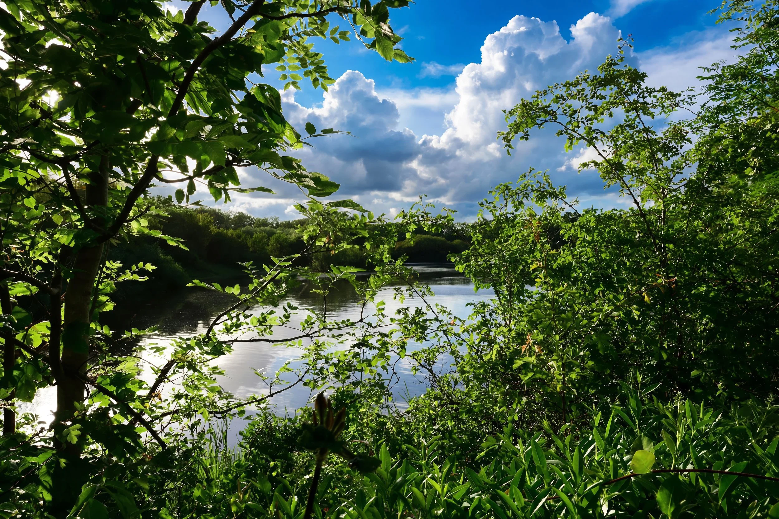Summer Clouds_8.jpg