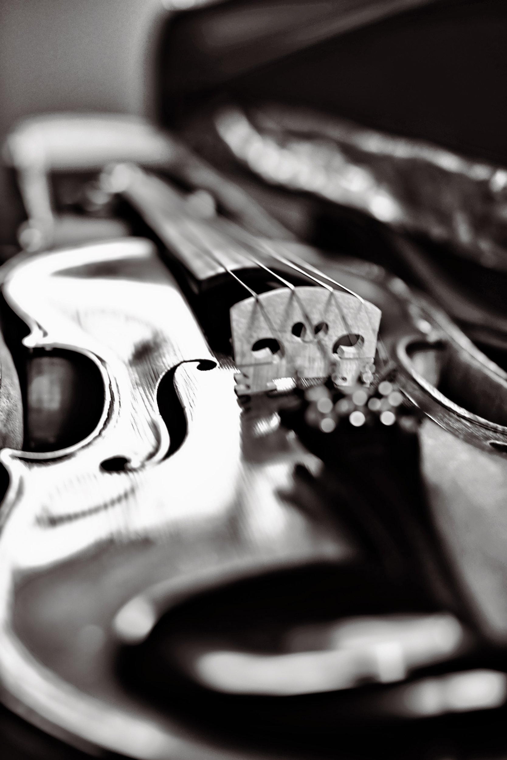 Violin BW TONED.jpg