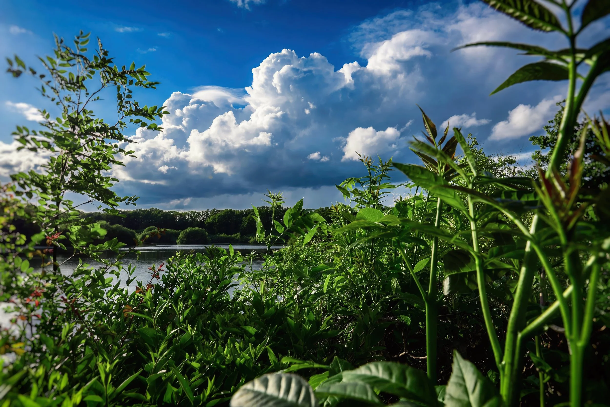 Summer Clouds_7.jpg
