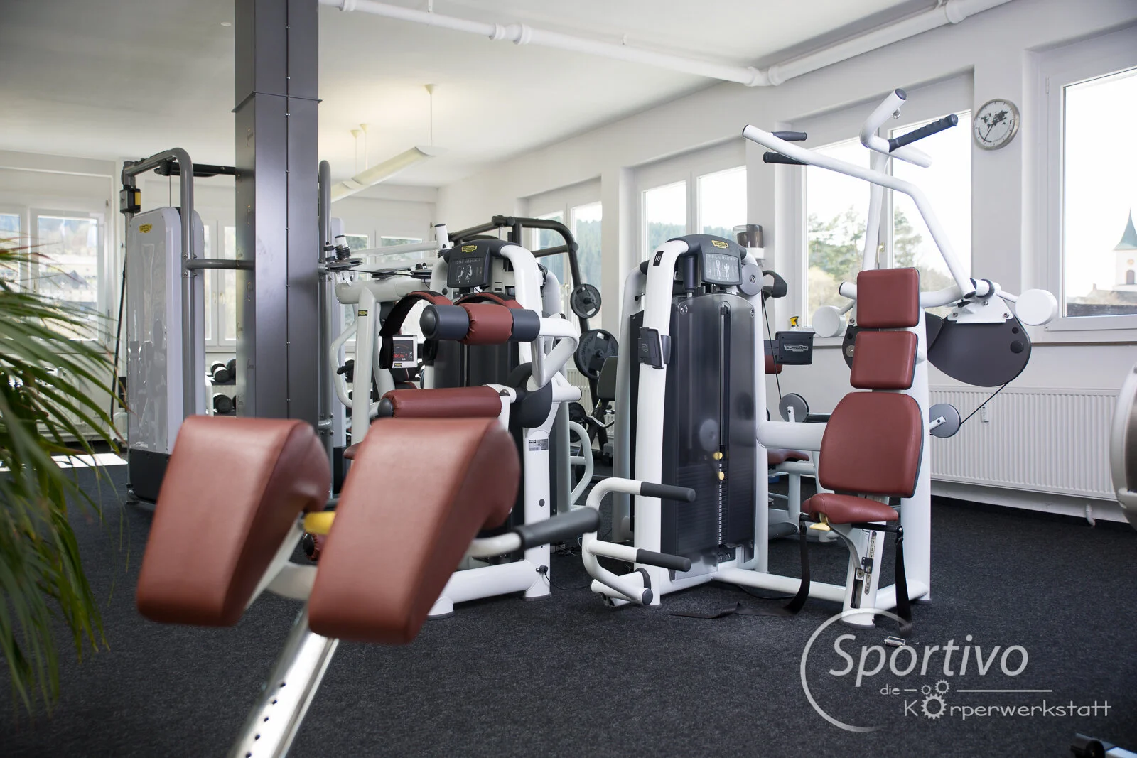 Sportivo-web-149875.jpg