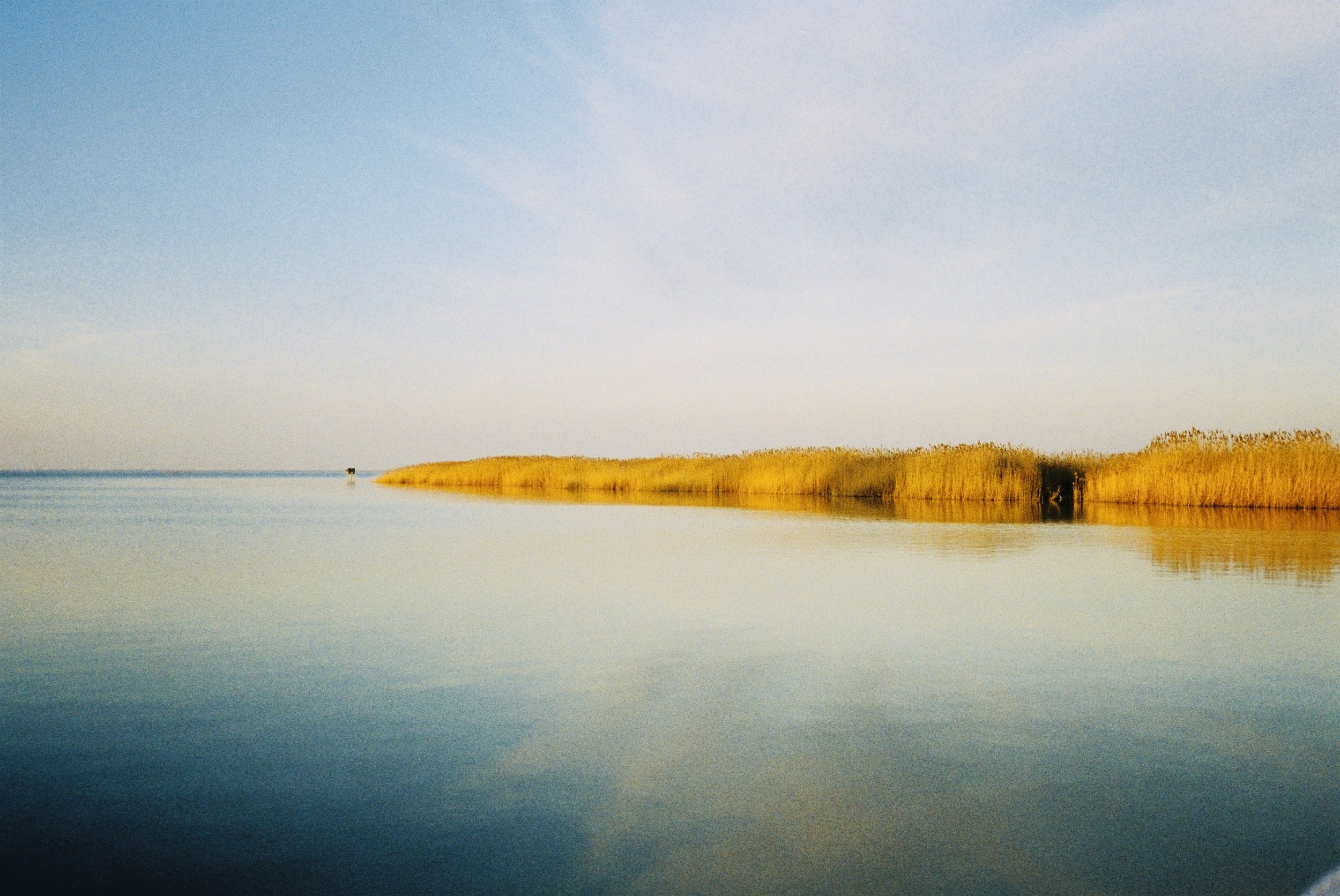 9543_16.jpg