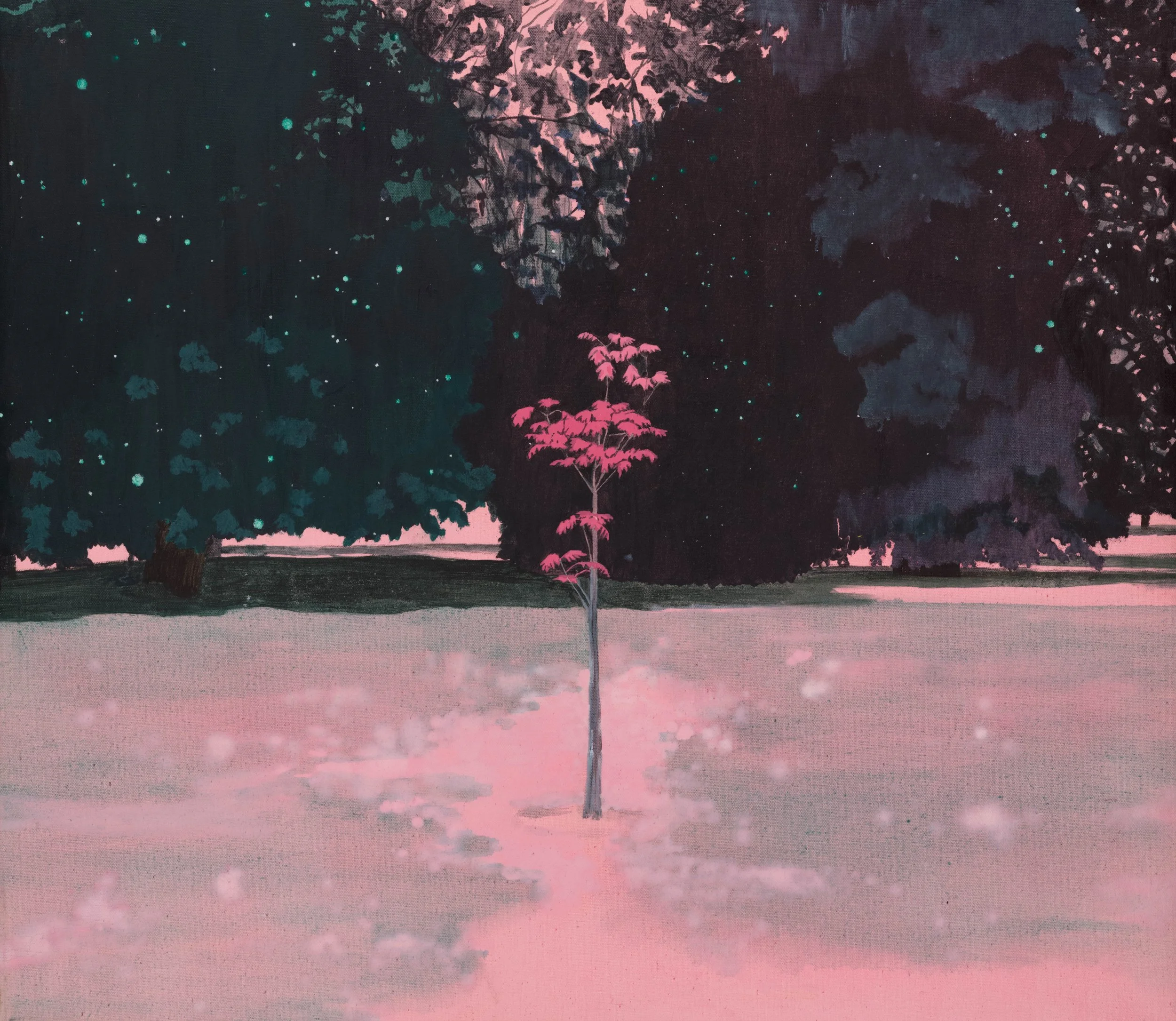 Steph Smith - Spring.jpeg