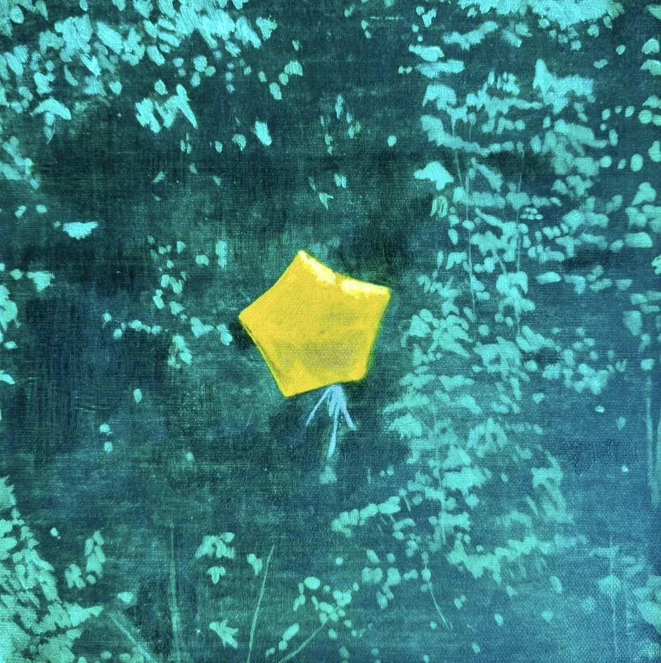 Star Balloon (Study)
oil on canvas 40 x 40cm

