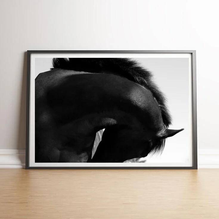 image 1.jpg