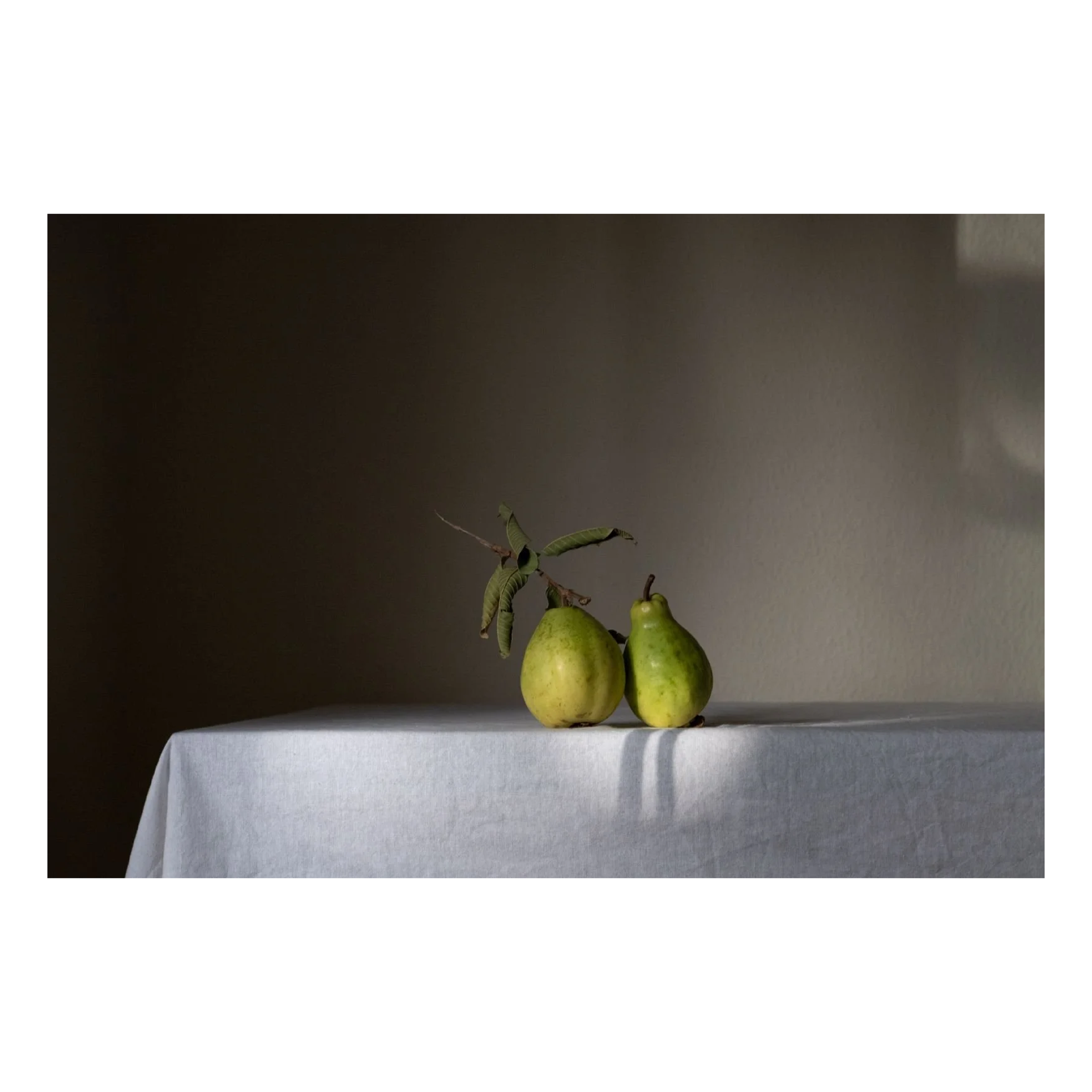 Guava Fruit: The Nature of Things