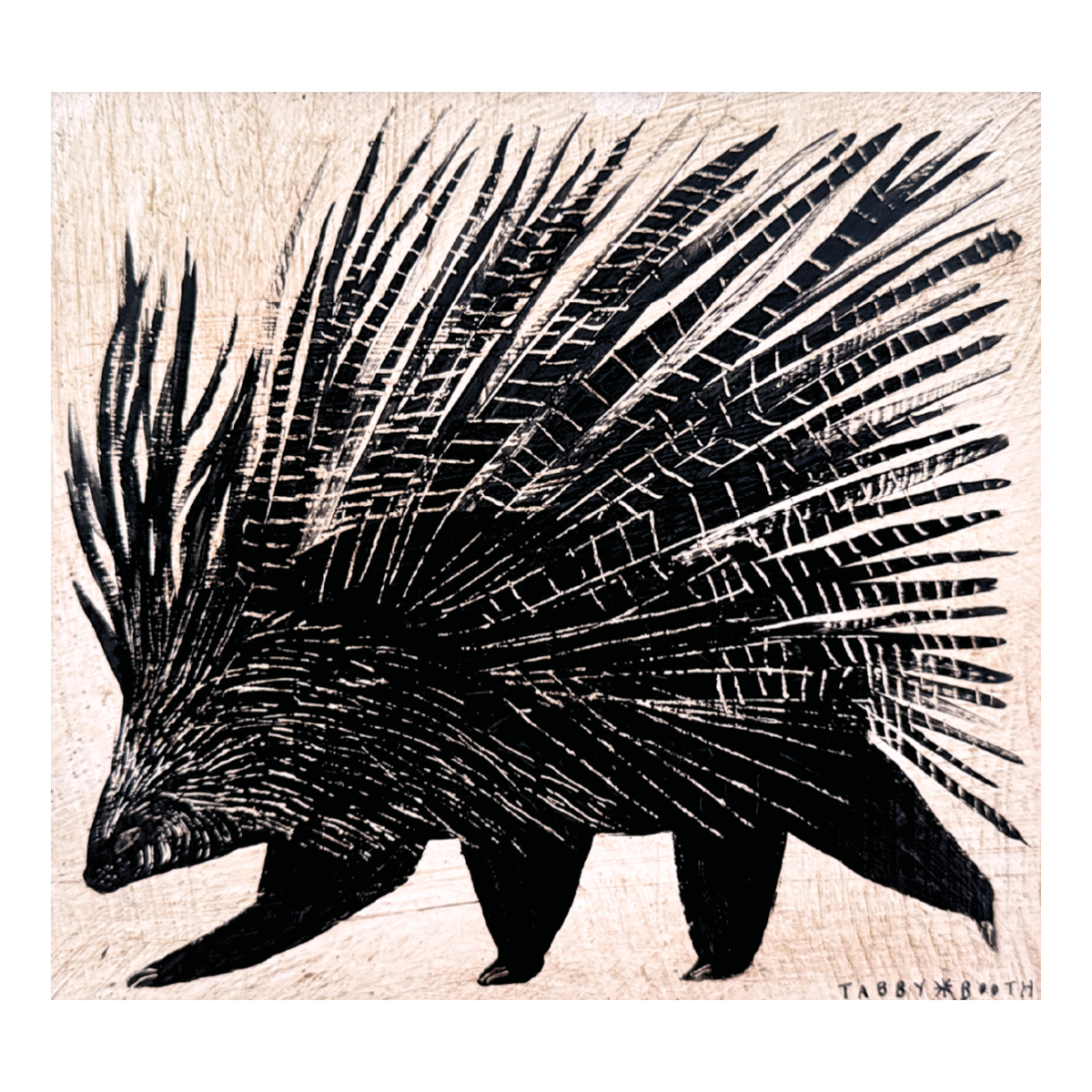 Porcupine