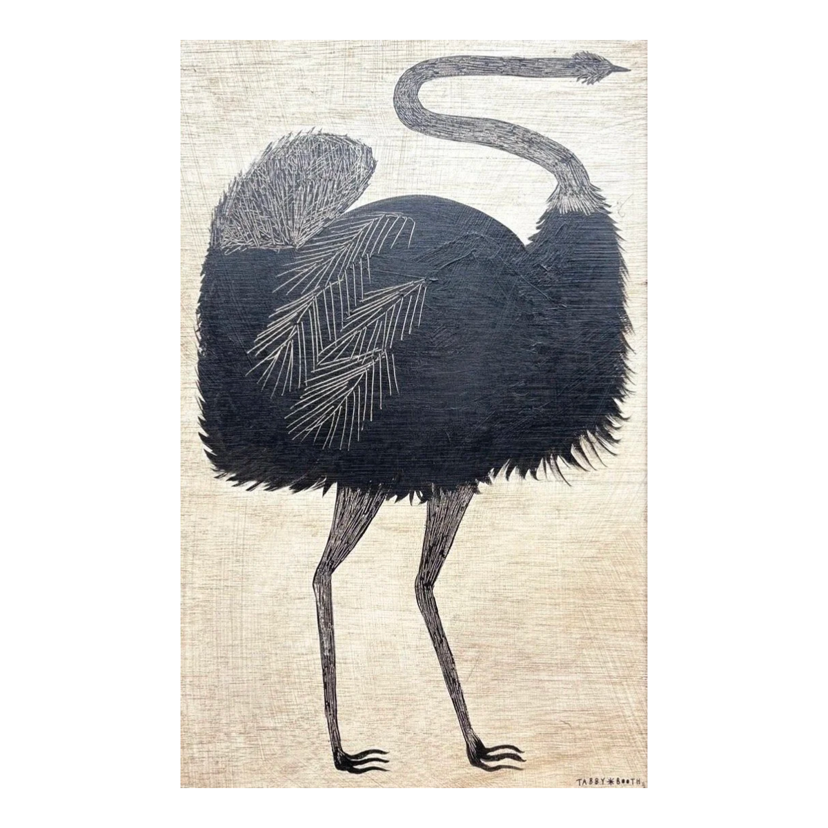 Ostrich