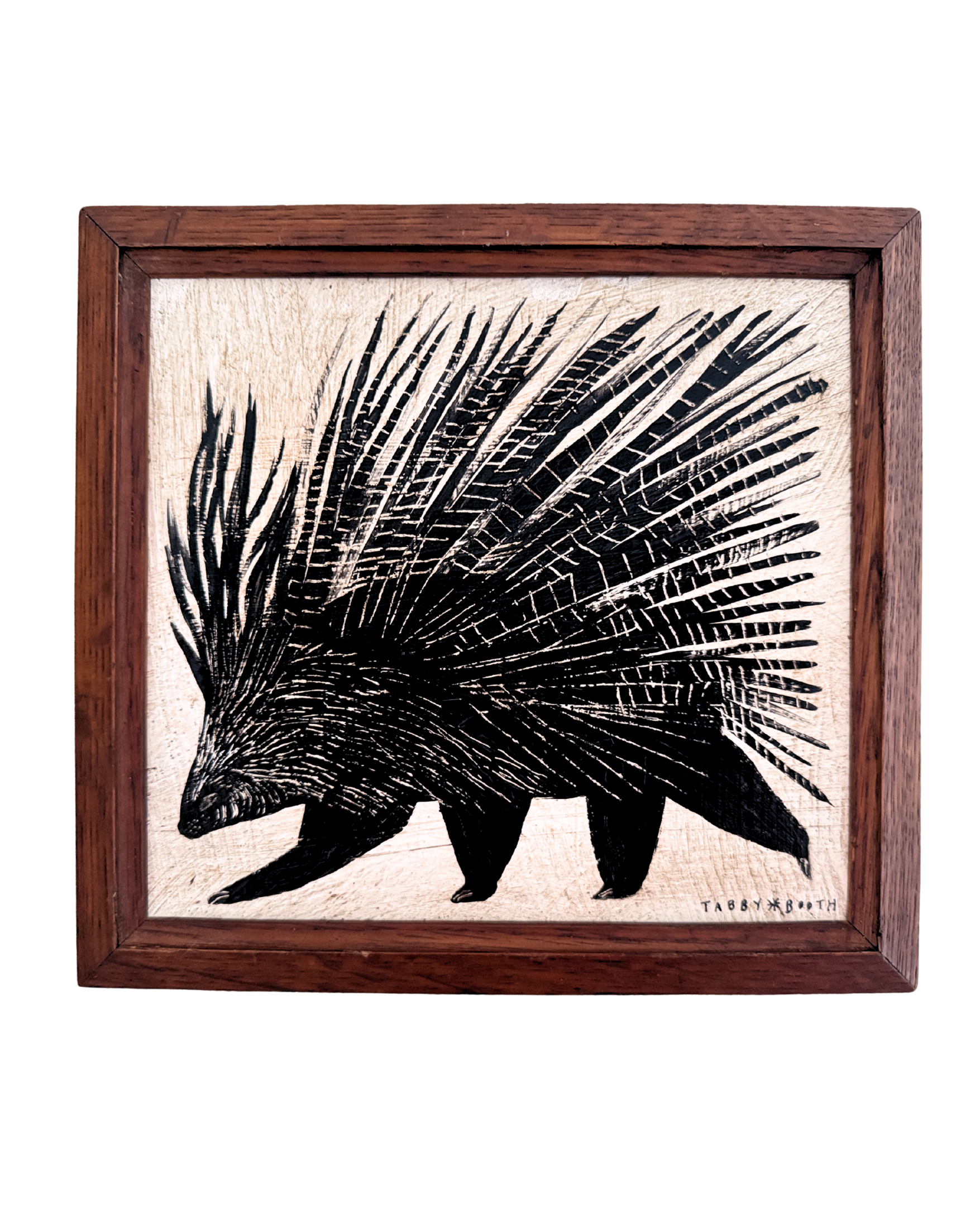 PORCUPINE.png