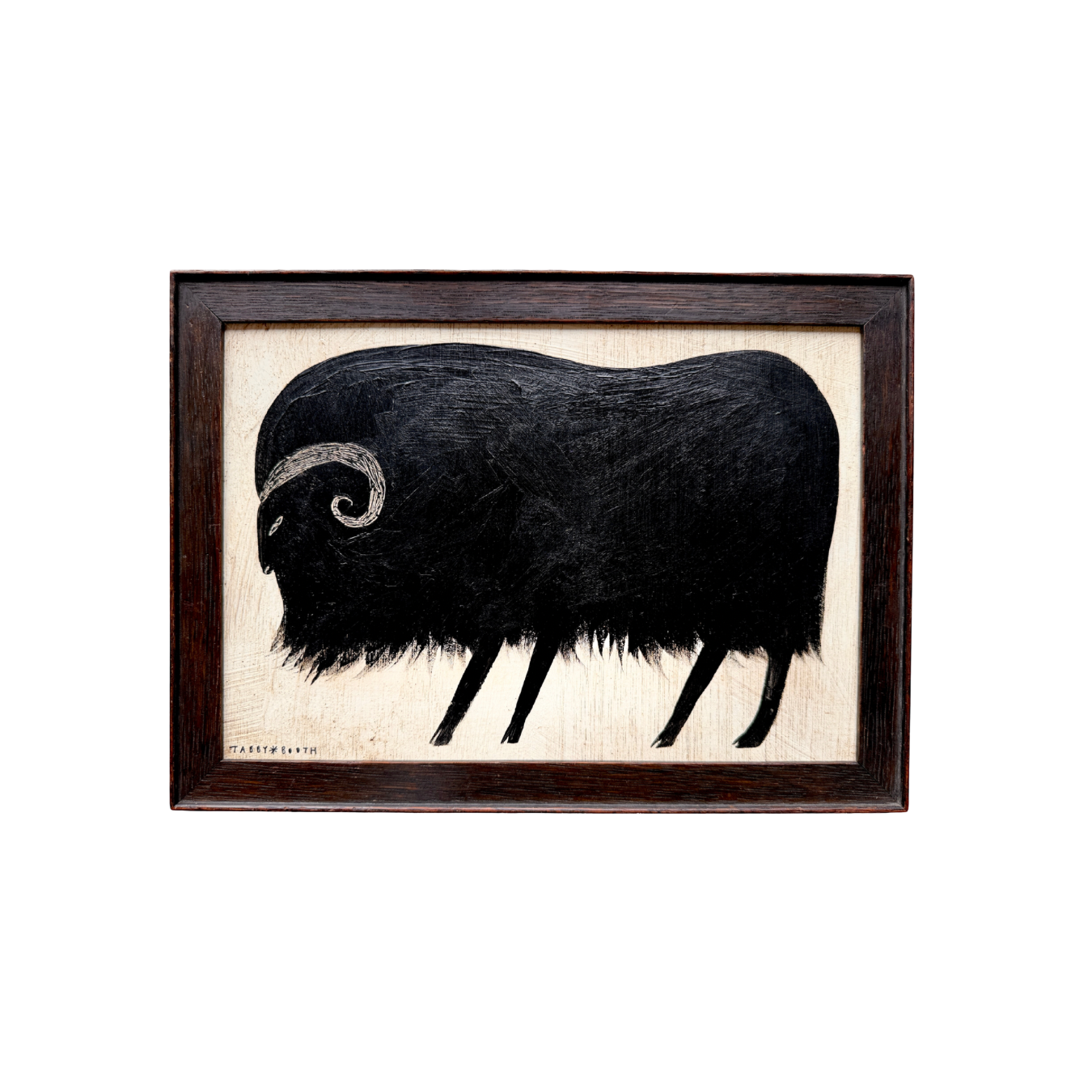 Musk Ox