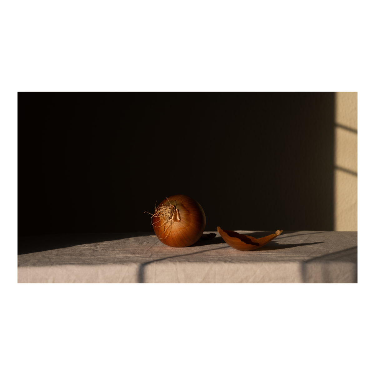 Onion: Where Warmth Starts, Inside the Round