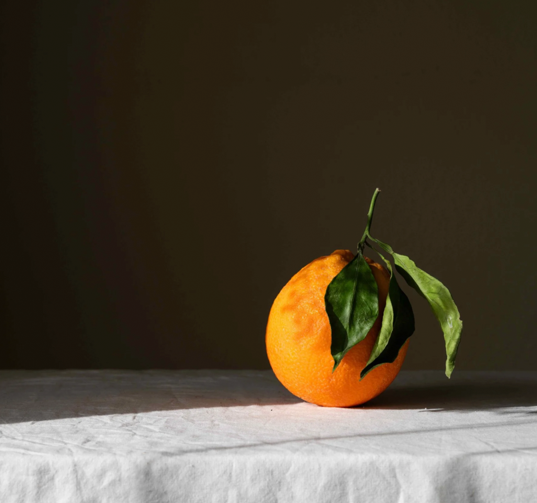 Enas Nashif Orange.png