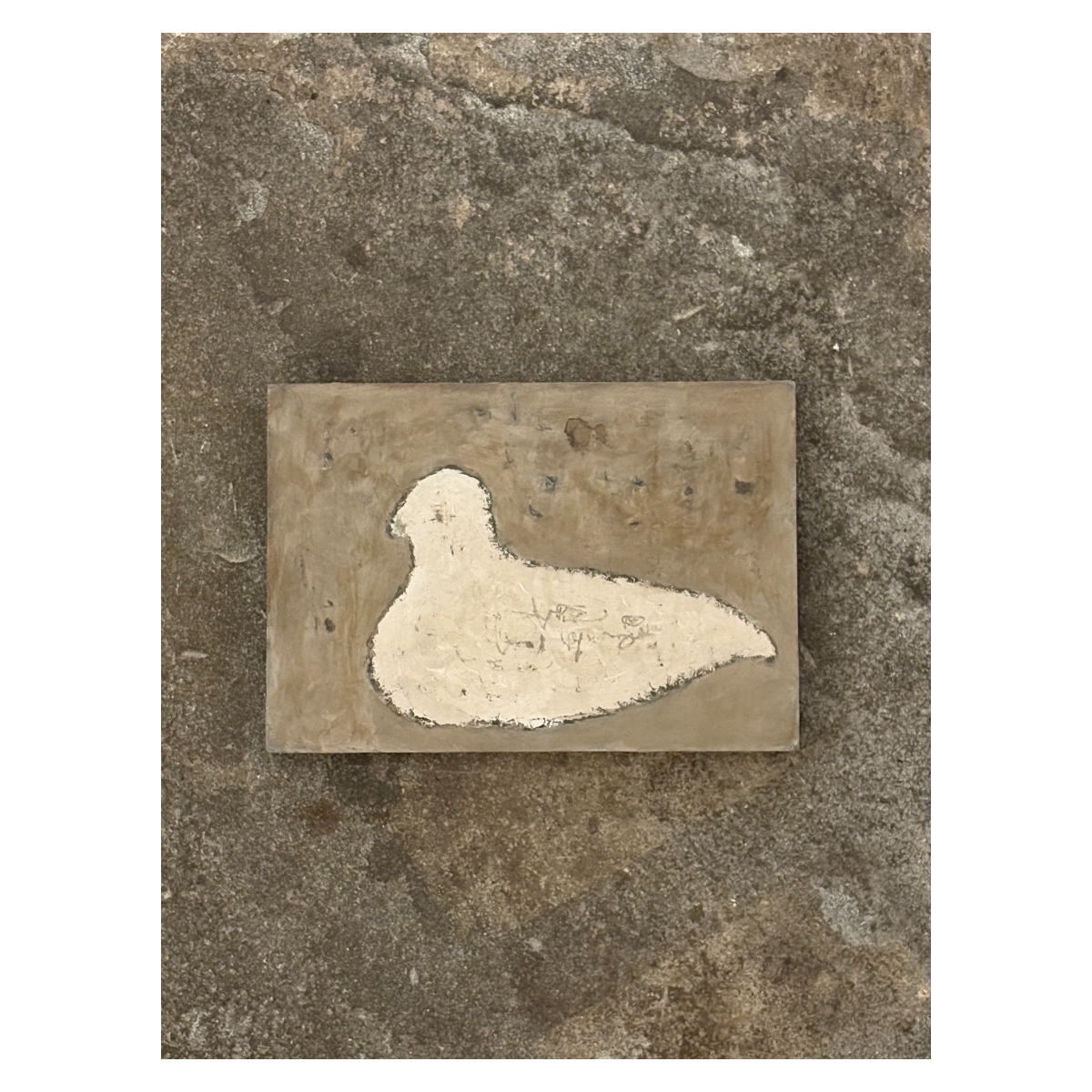 Little White Dove on Brown