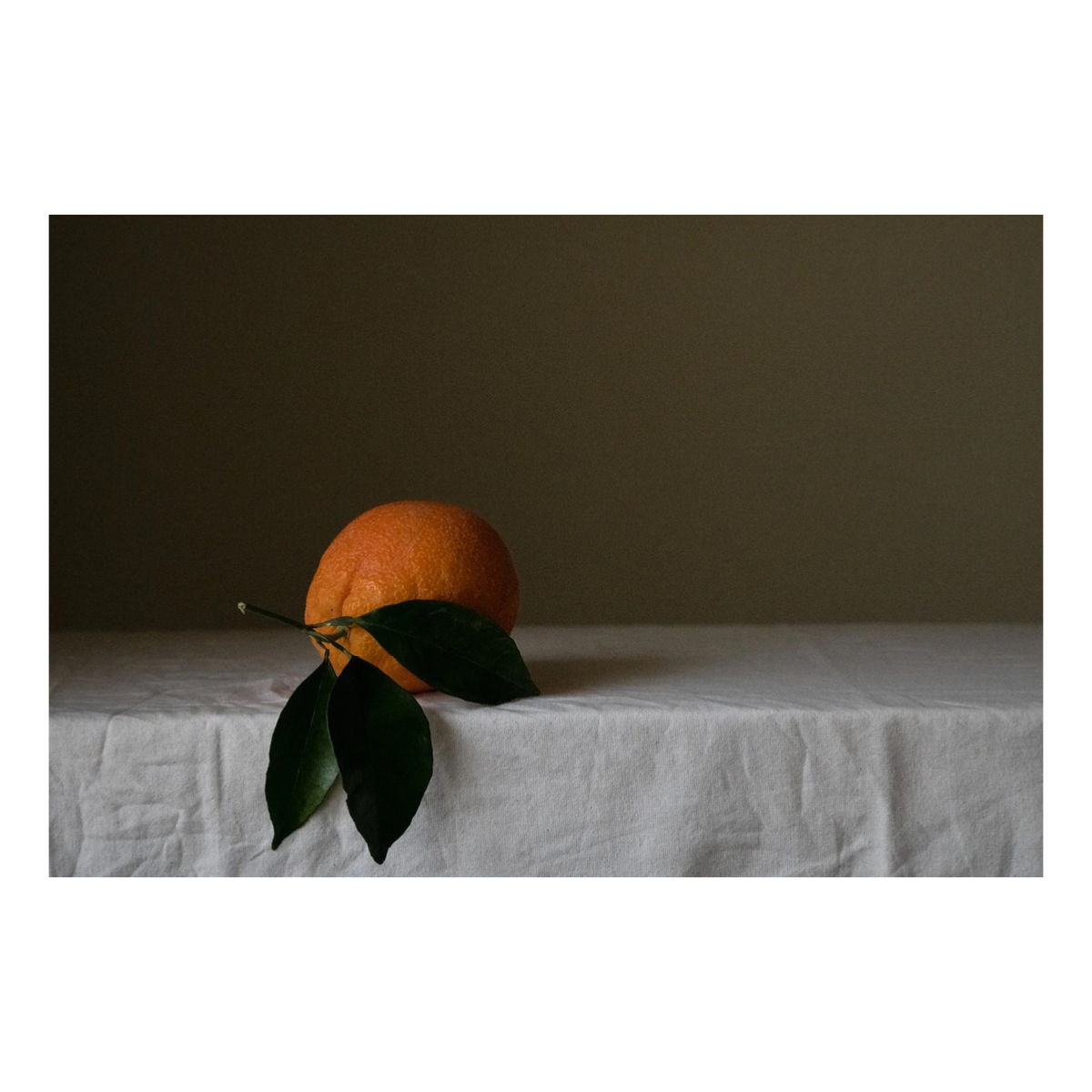 The Orange: Rest