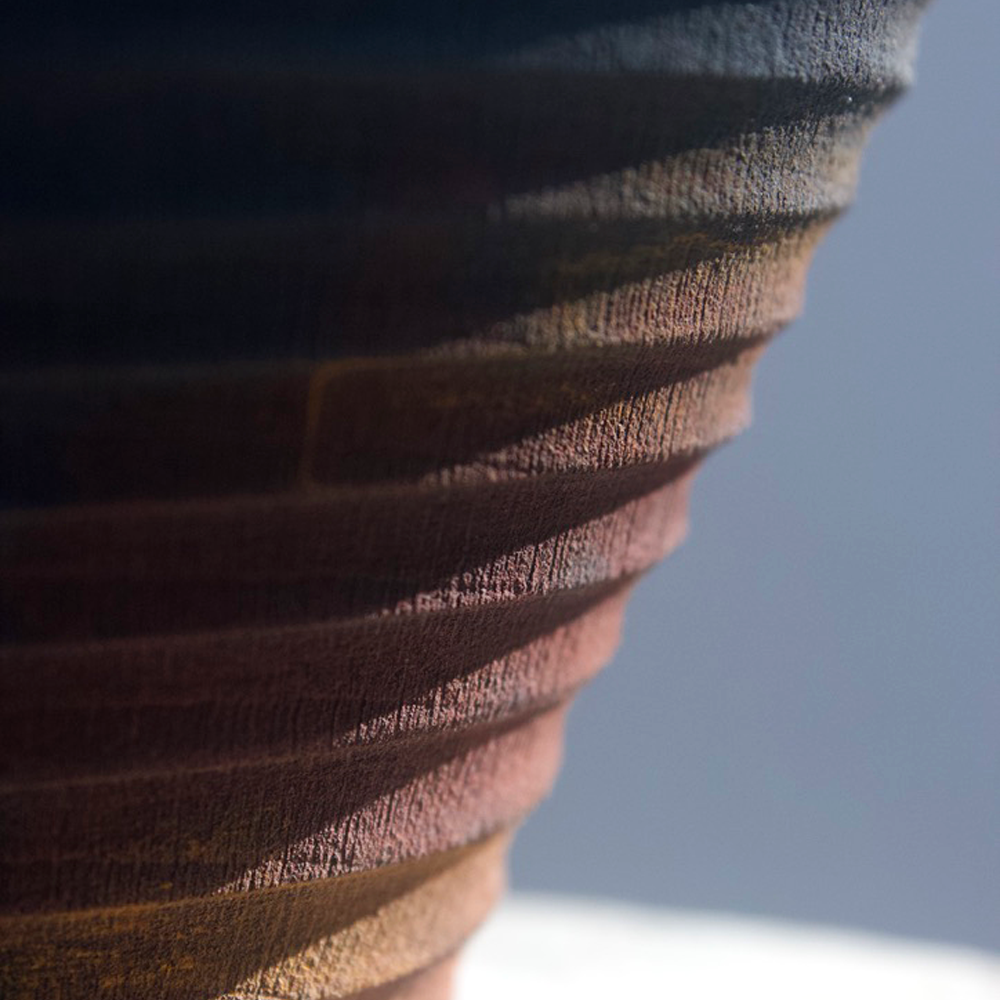 Sycamore Cup by Glenn Dane for Among the Pines 6.png
