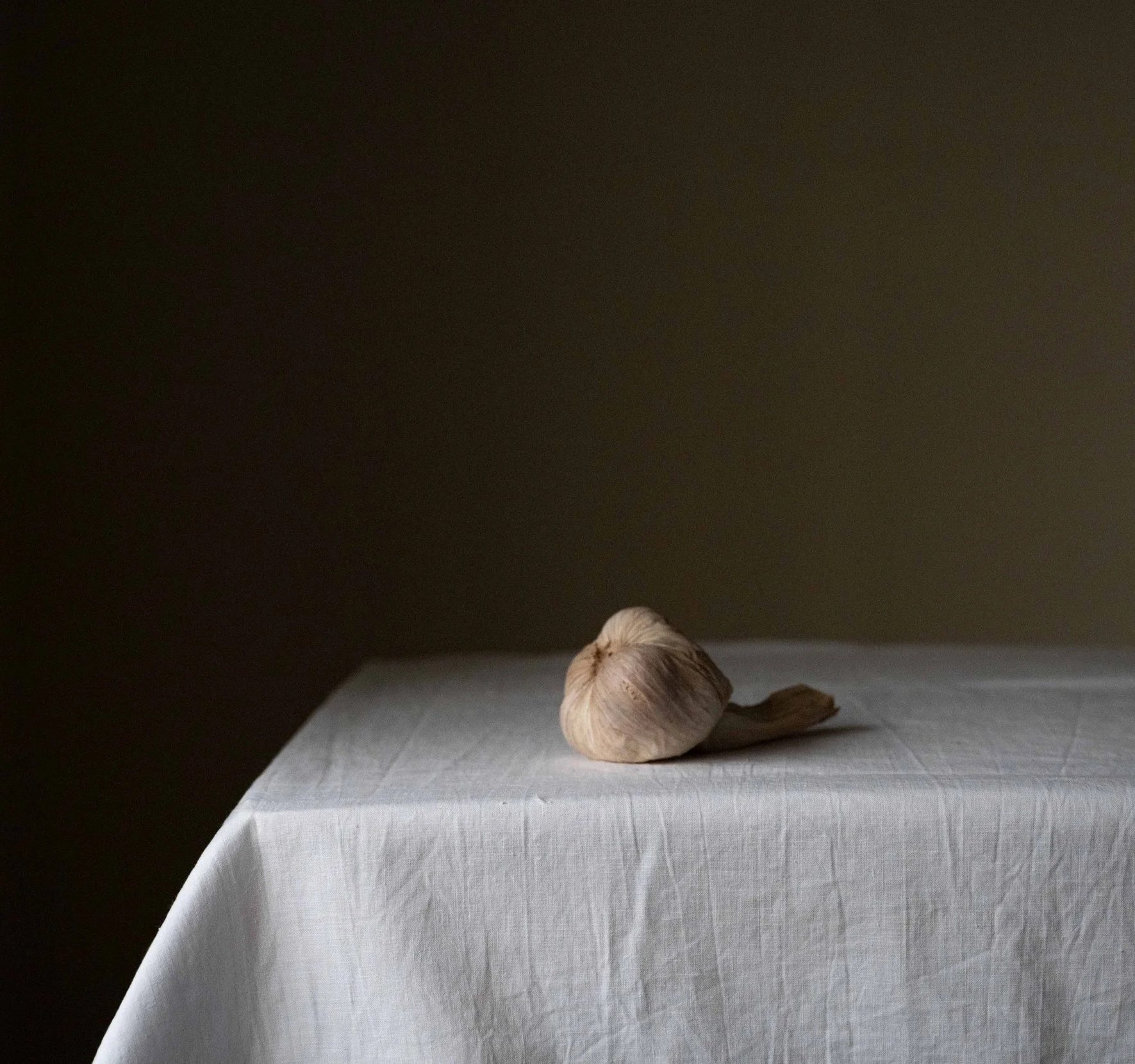 Enas Nashif Garlic.png