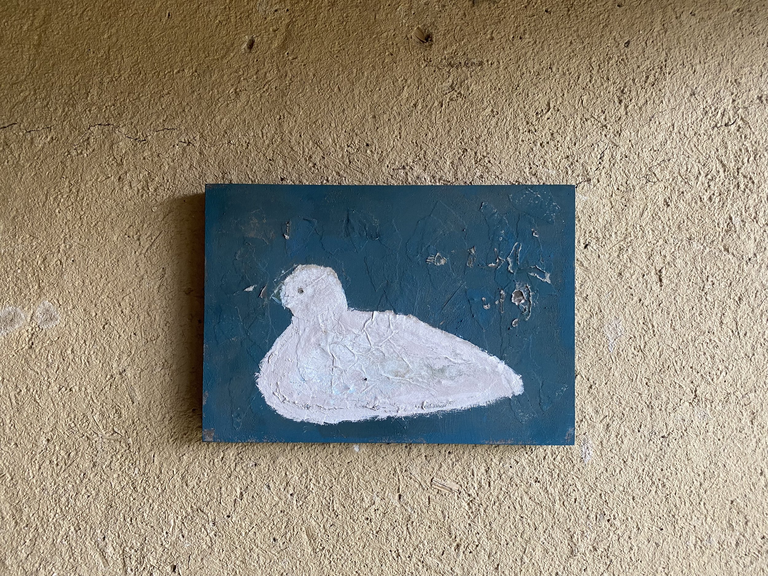 Dove on Blue.jpeg
