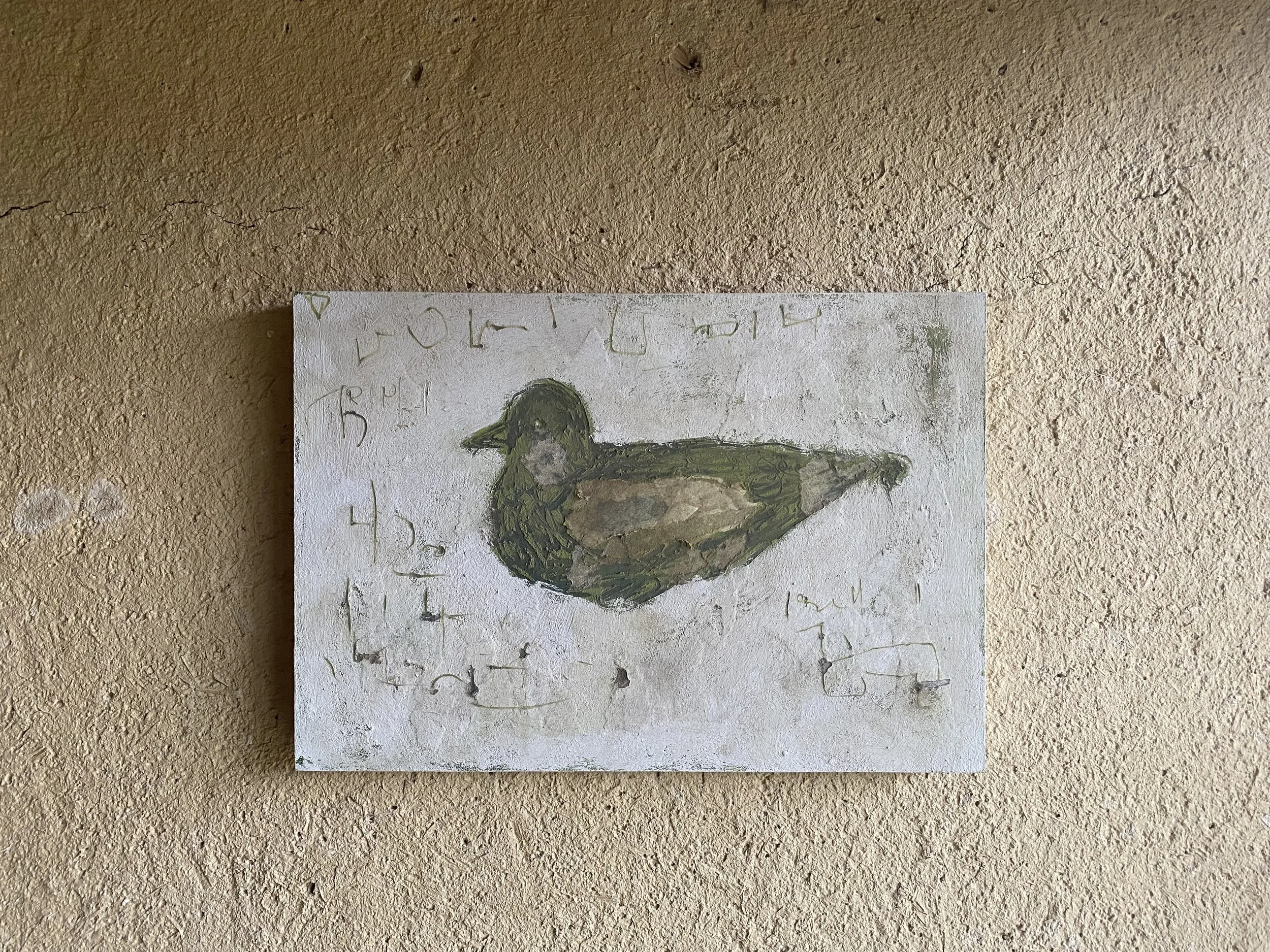 Little Brown Dove.jpeg