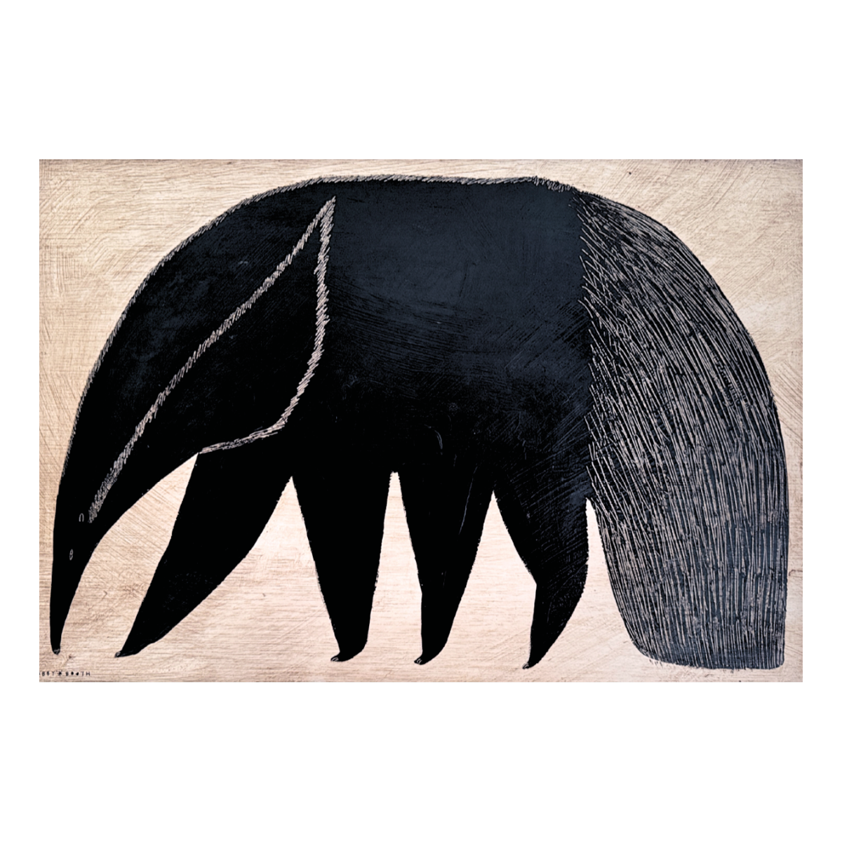Giant Anteater