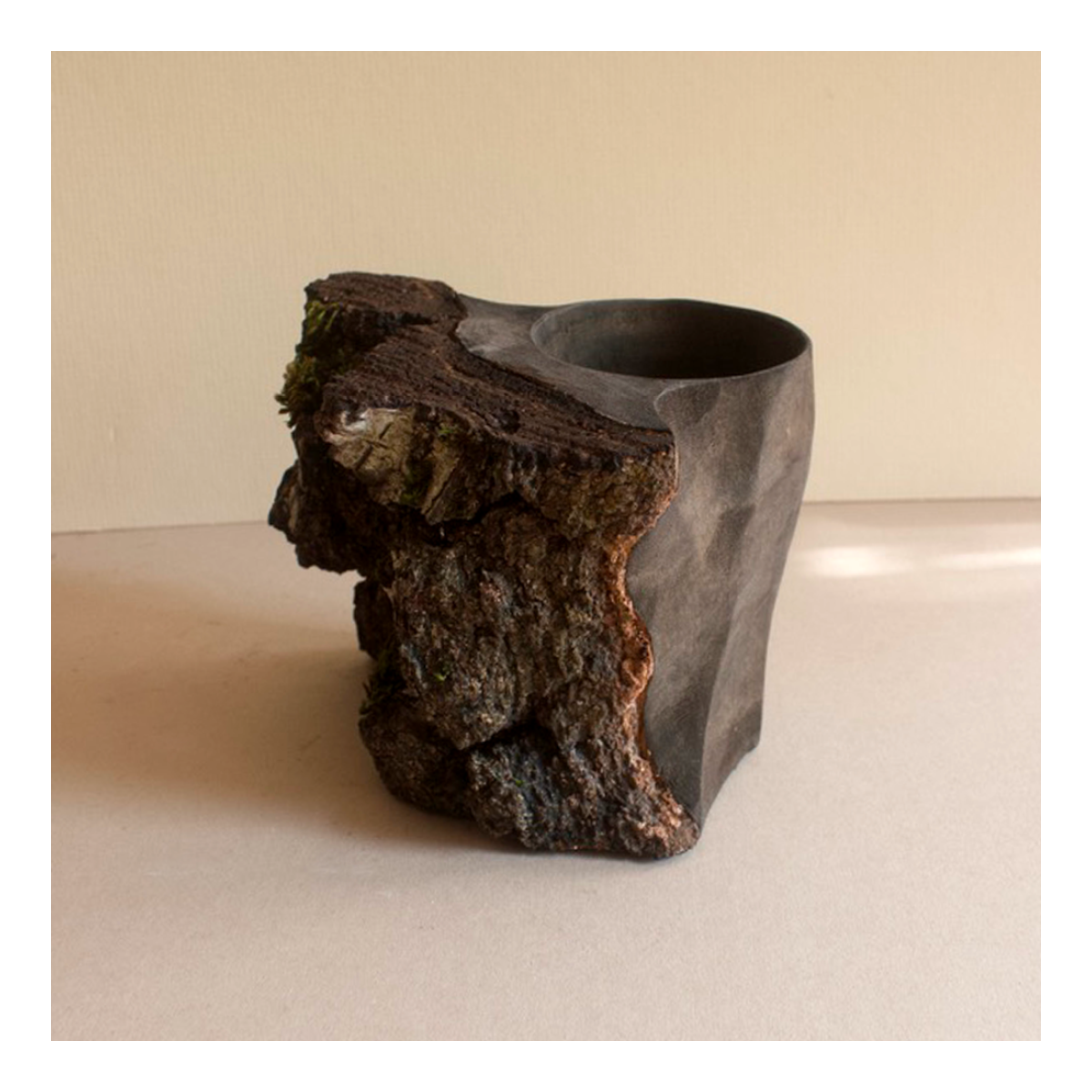 Barton Silver Birch - Two