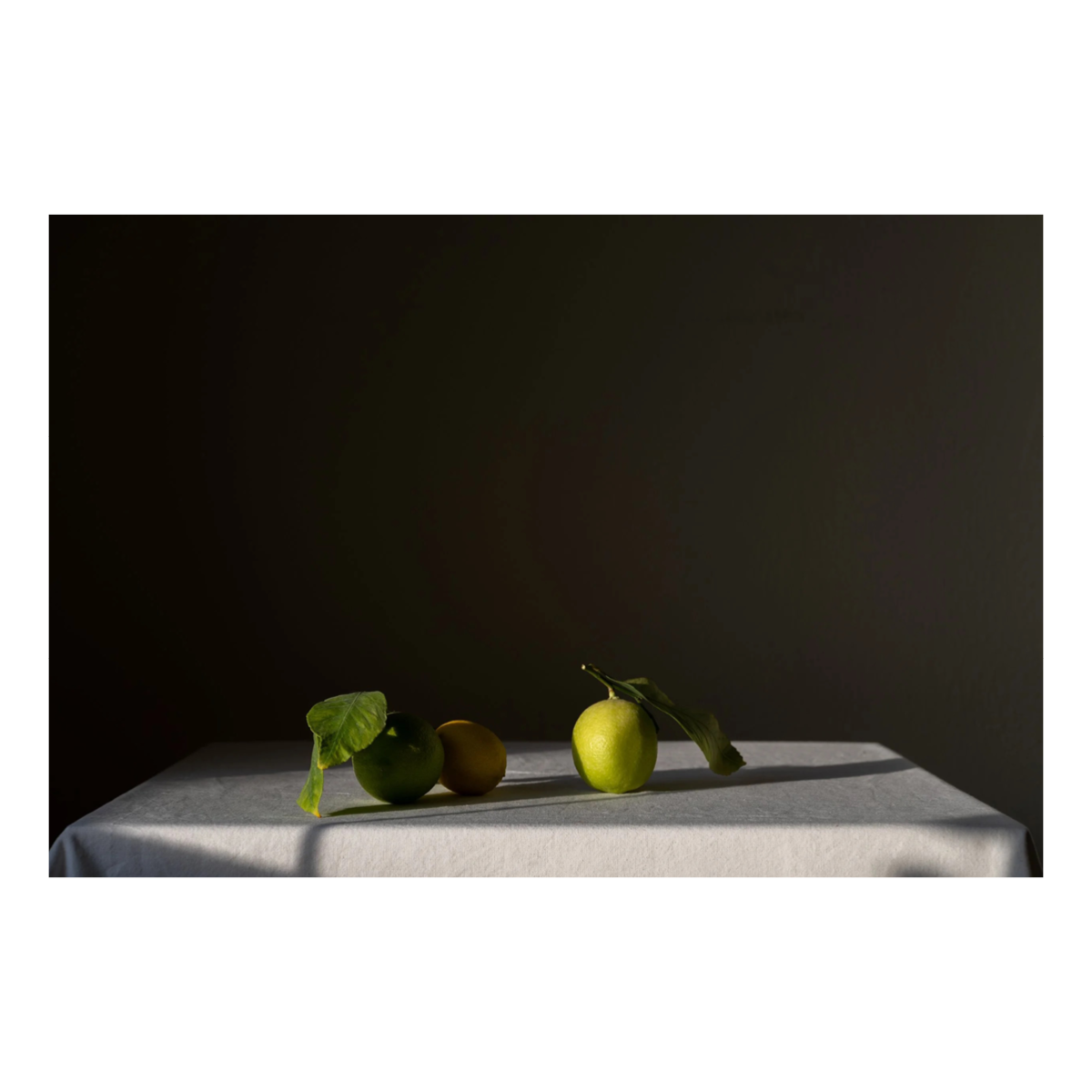 The Lime: Quiet Arrangement