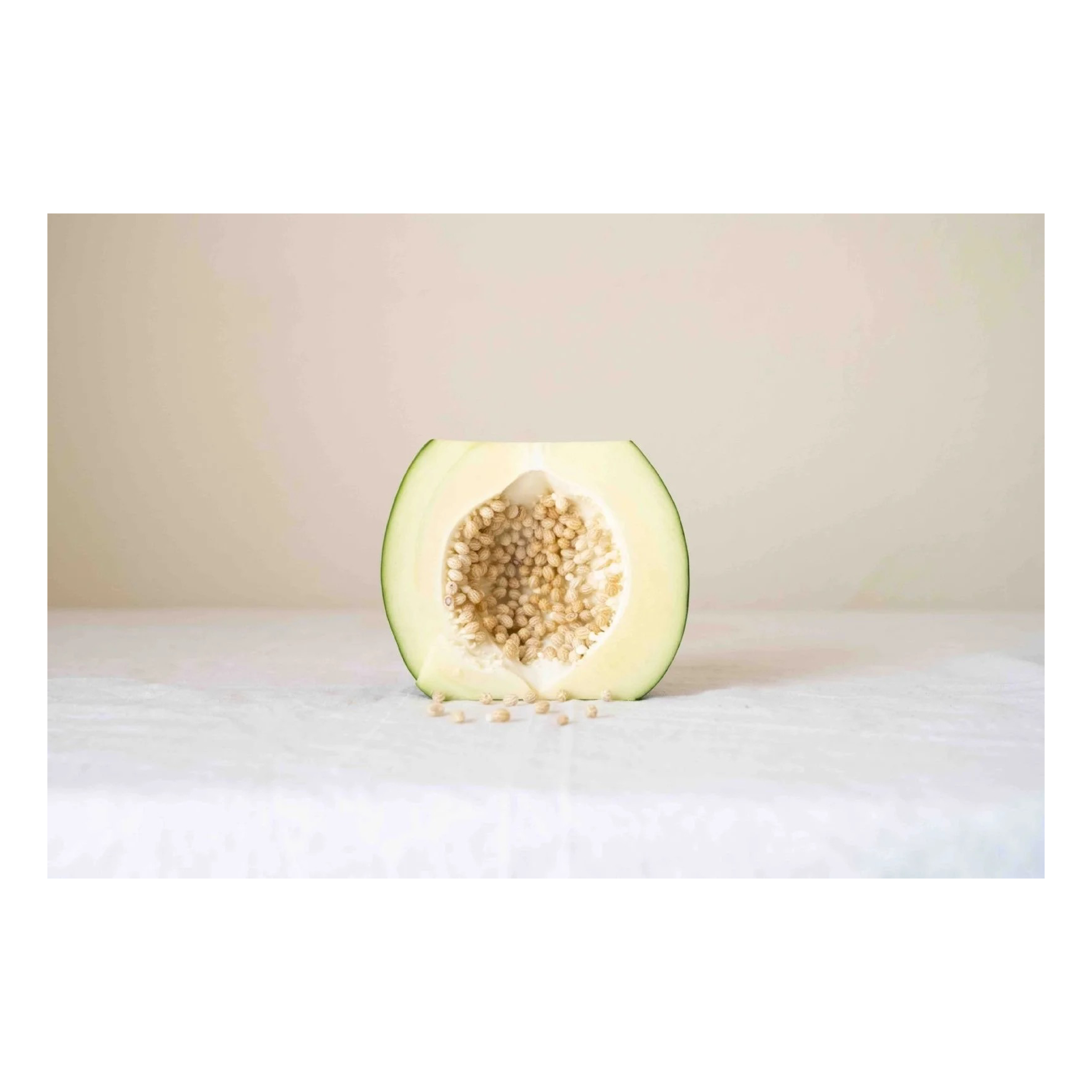 Honeydew: Seeds of Memory