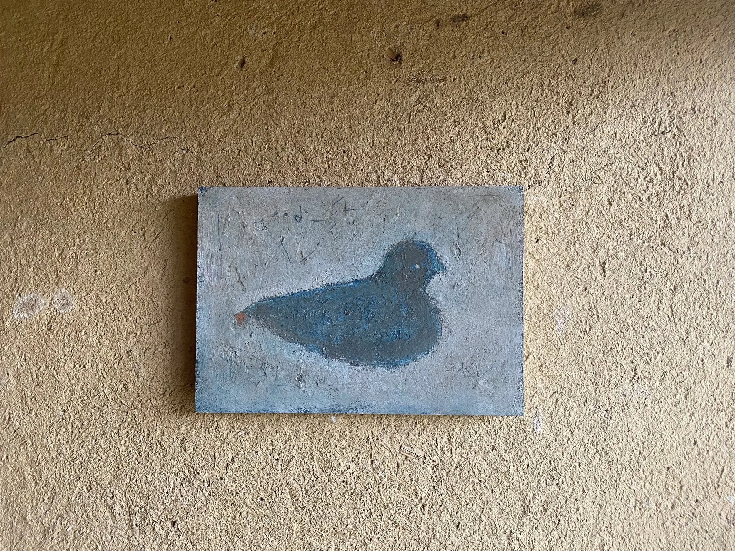 Dove+with+Brown+Tip+Tail.jpg