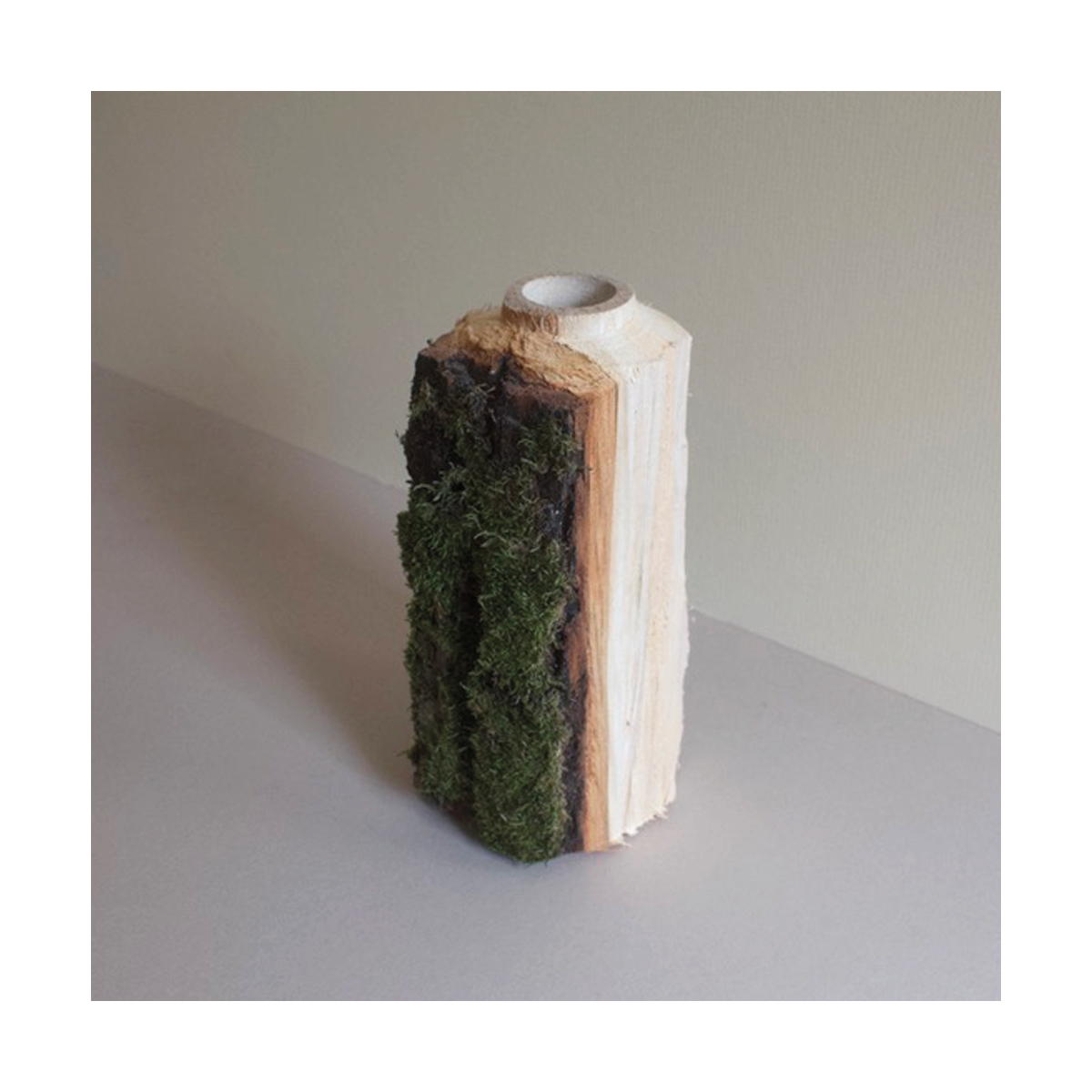 Hollowed Bark Vase - Judas Tree