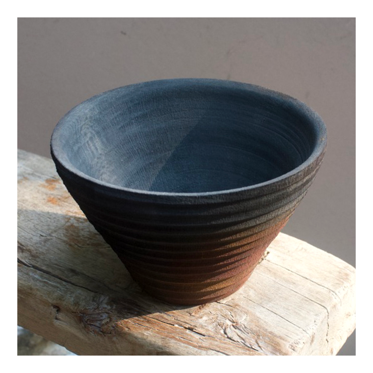 Sycamore Cup