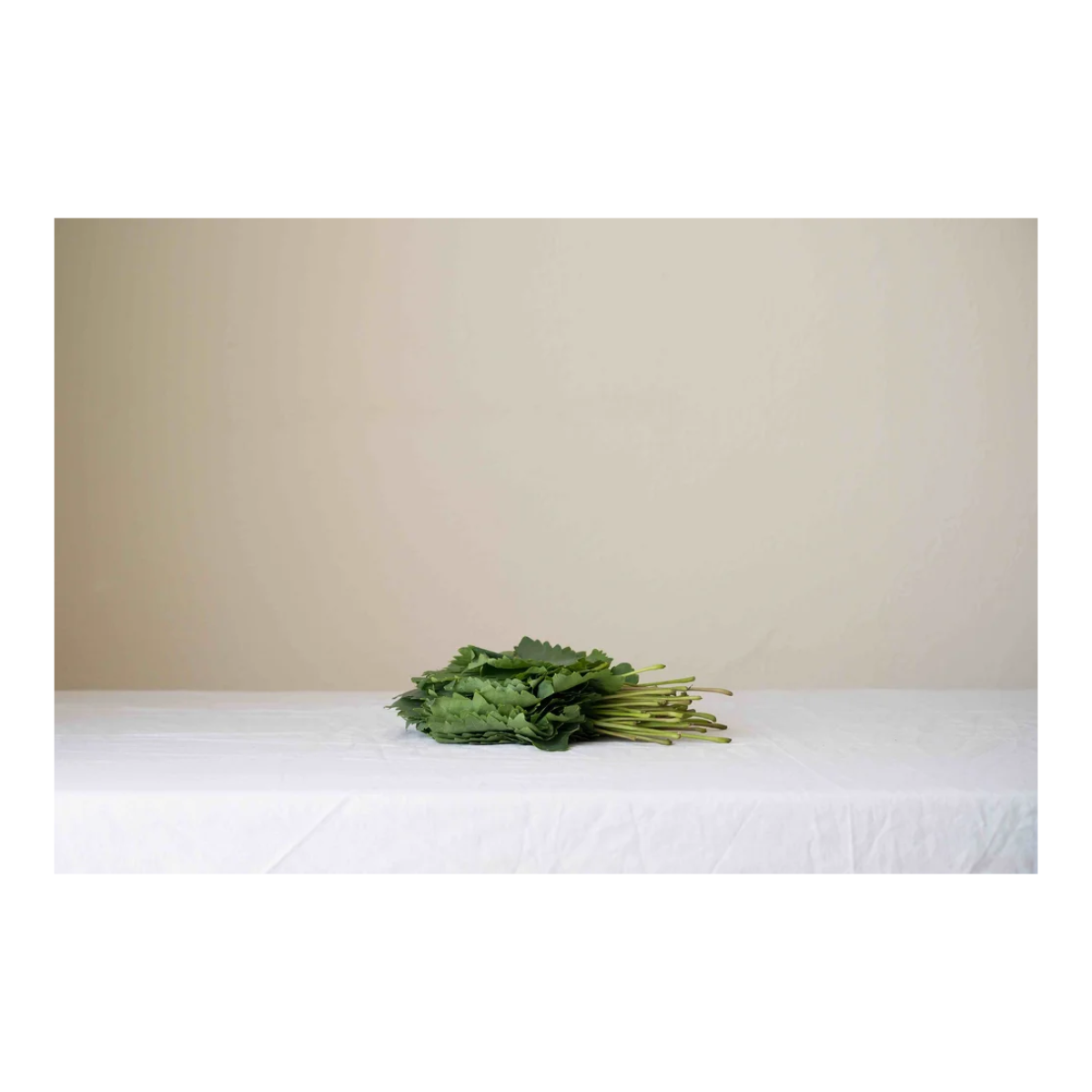Vine Leaves: Kitchen Ritual