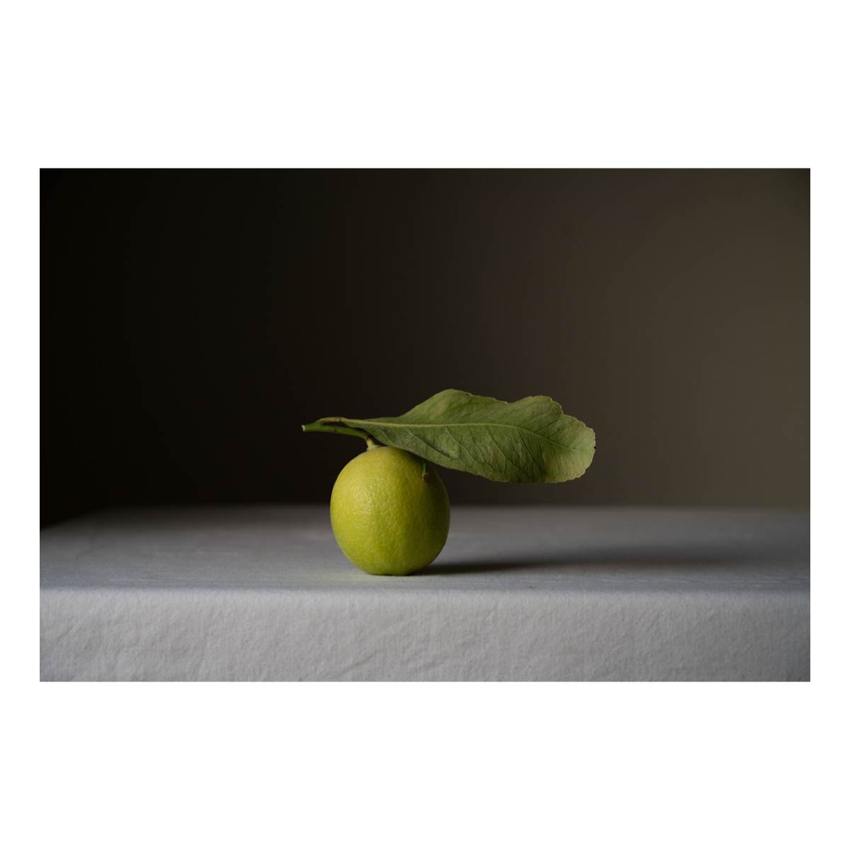 Lime: Where Zest Sleeps