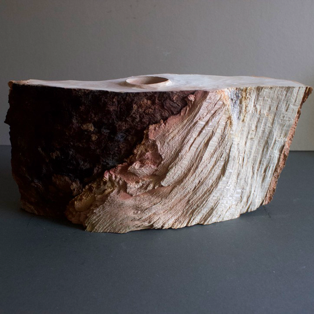 Sycamore Hollowed Vessel by Glenn Dane for Among the Pines 2.png
