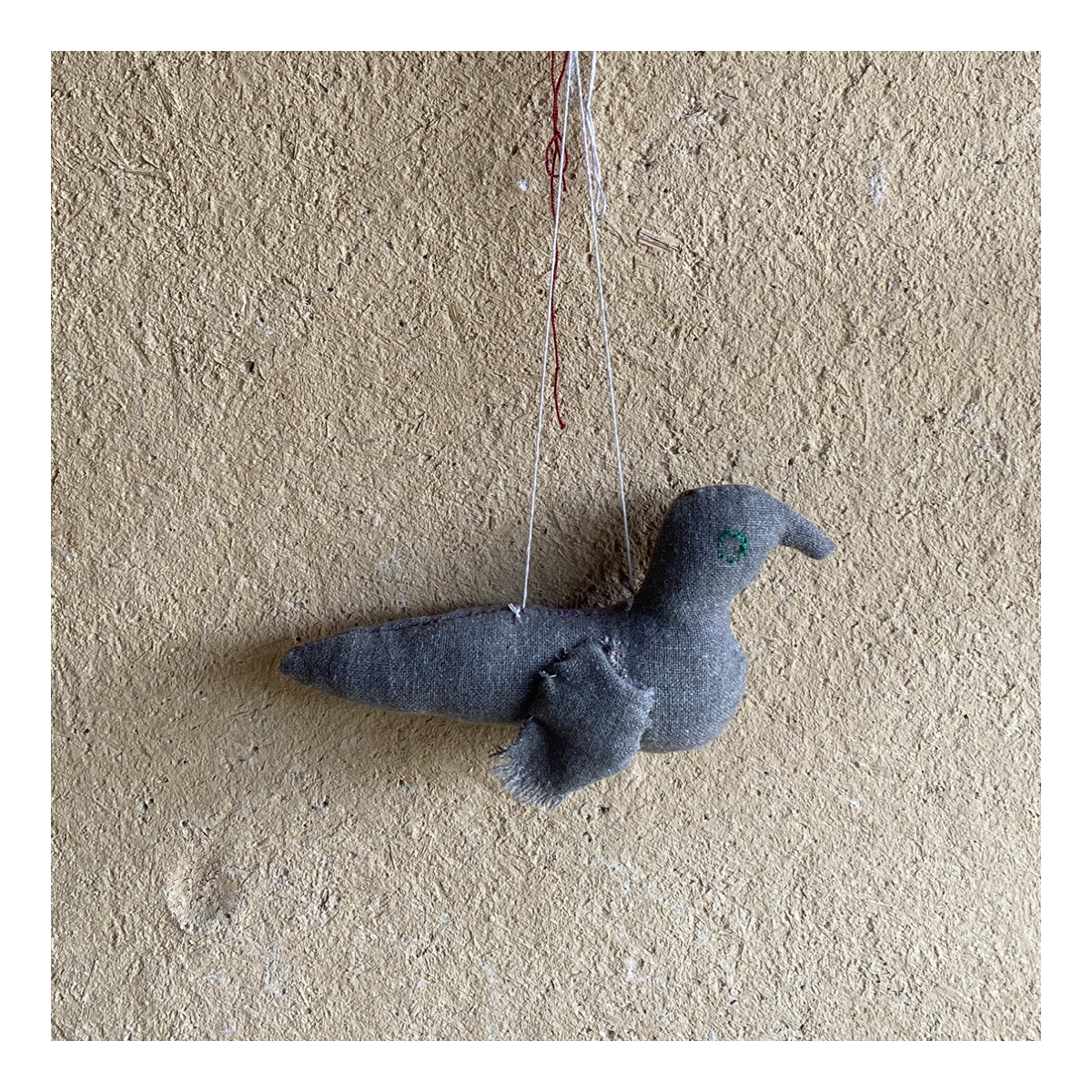 Floating Grey Dove