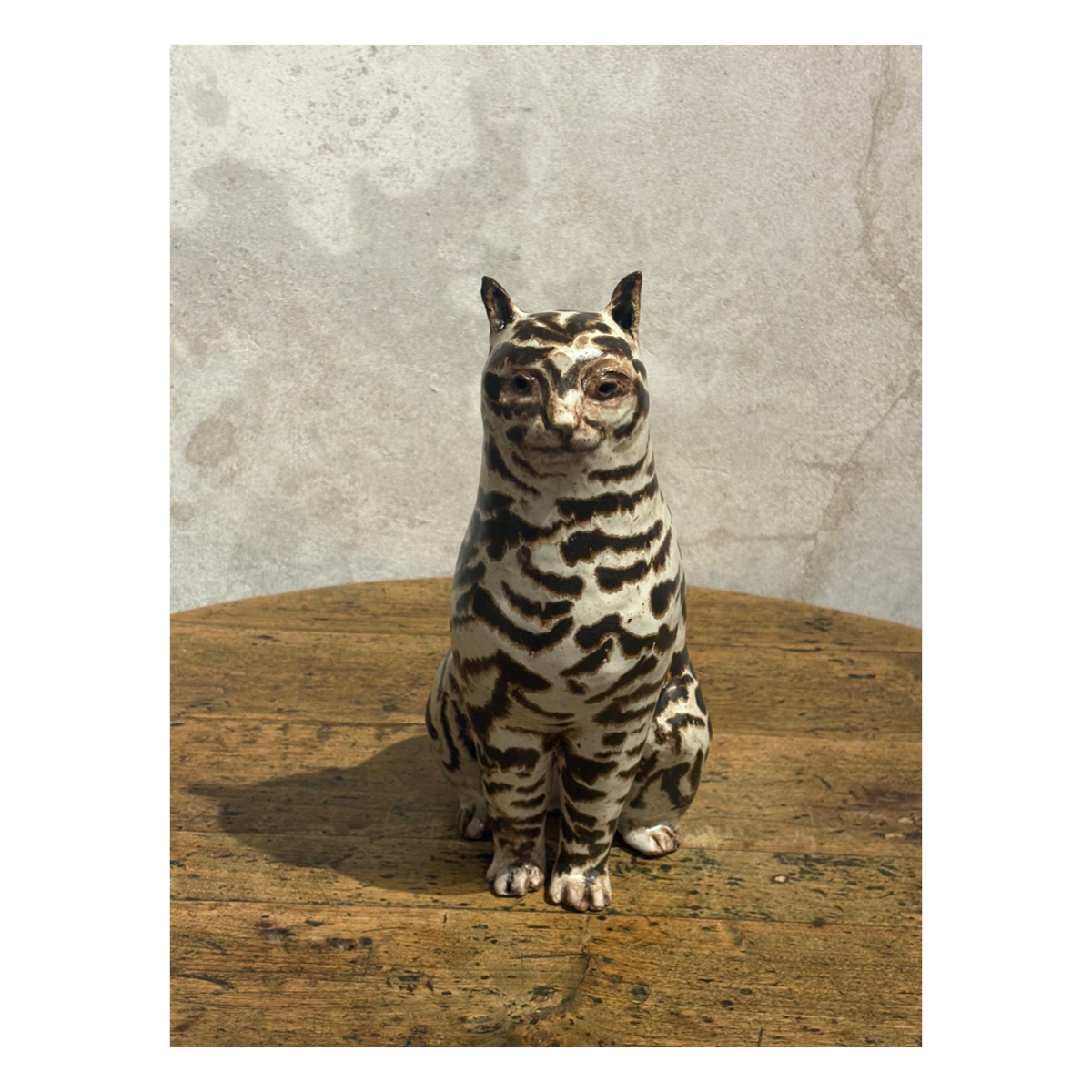 Little Bold Tabby