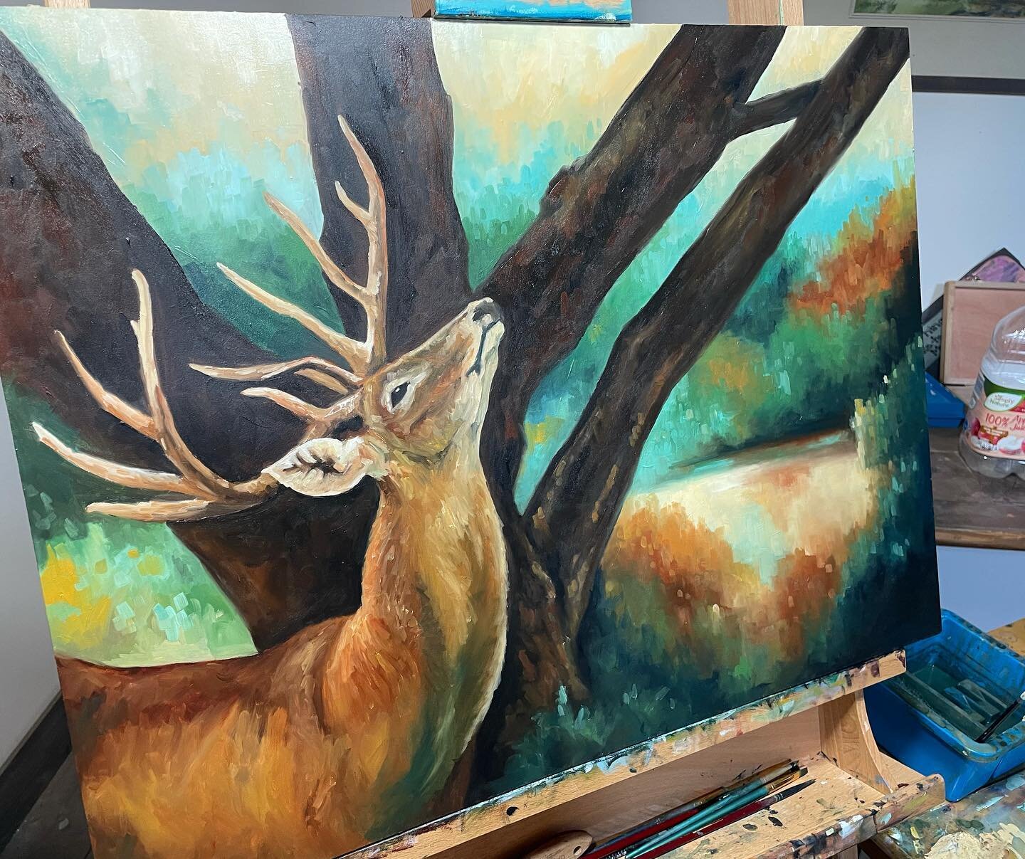 Sometimes you got to shake up the subject matter to unlock something new been working on some new style elements  and some new color palettes to bring back to my landscape work. #deerart #natureart #cabinstyle #cabinart #cookforest